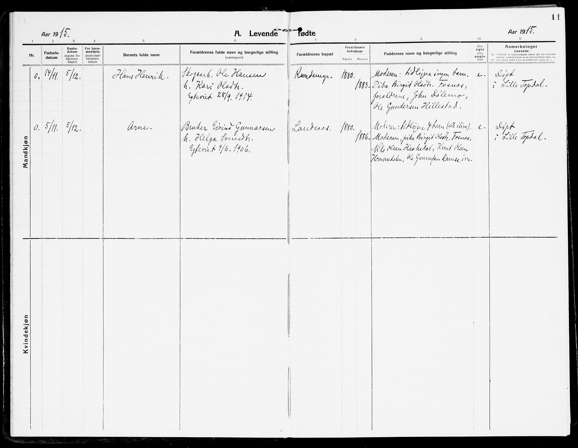 Åmli sokneprestkontor, AV/SAK-1111-0050/F/Fa/Fac/L0013: Parish register (official) no. A 13, 1914-1933, p. 11