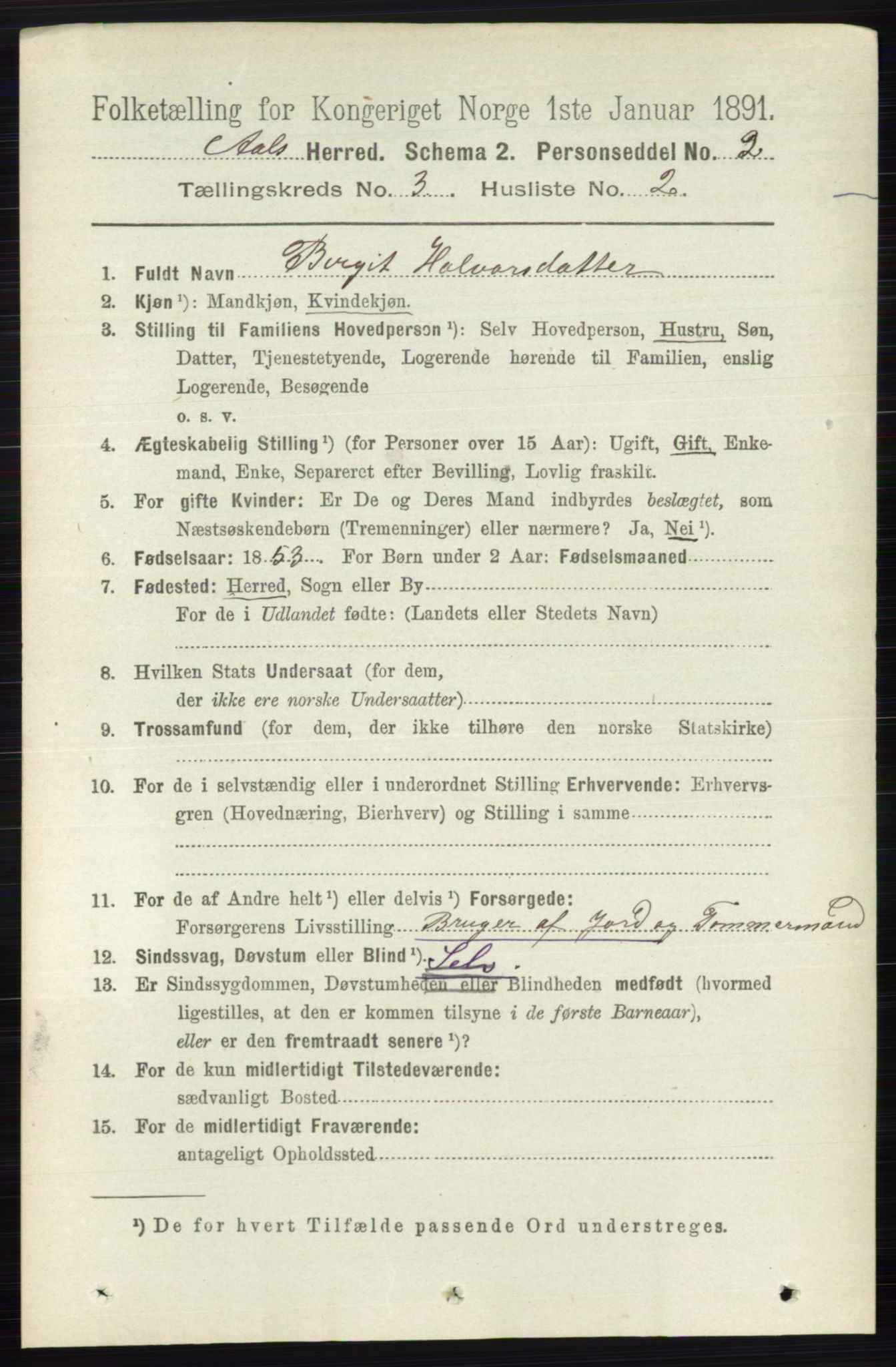 RA, 1891 census for 0619 Ål, 1891, p. 659