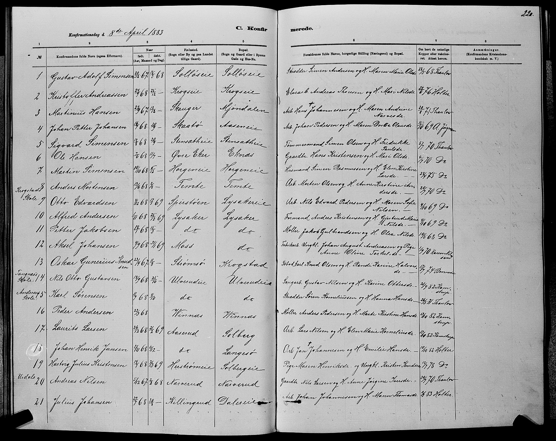 Nedre Eiker kirkebøker, AV/SAKO-A-612/G/Ga/L0002: Parish register (copy) no. 2, 1880-1896, p. 220