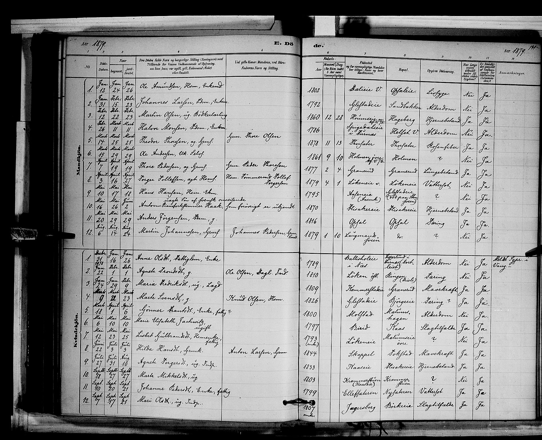 Ringsaker prestekontor, SAH/PREST-014/L/La/L0011: Parish register (copy) no. 11, 1879-1890, p. 191