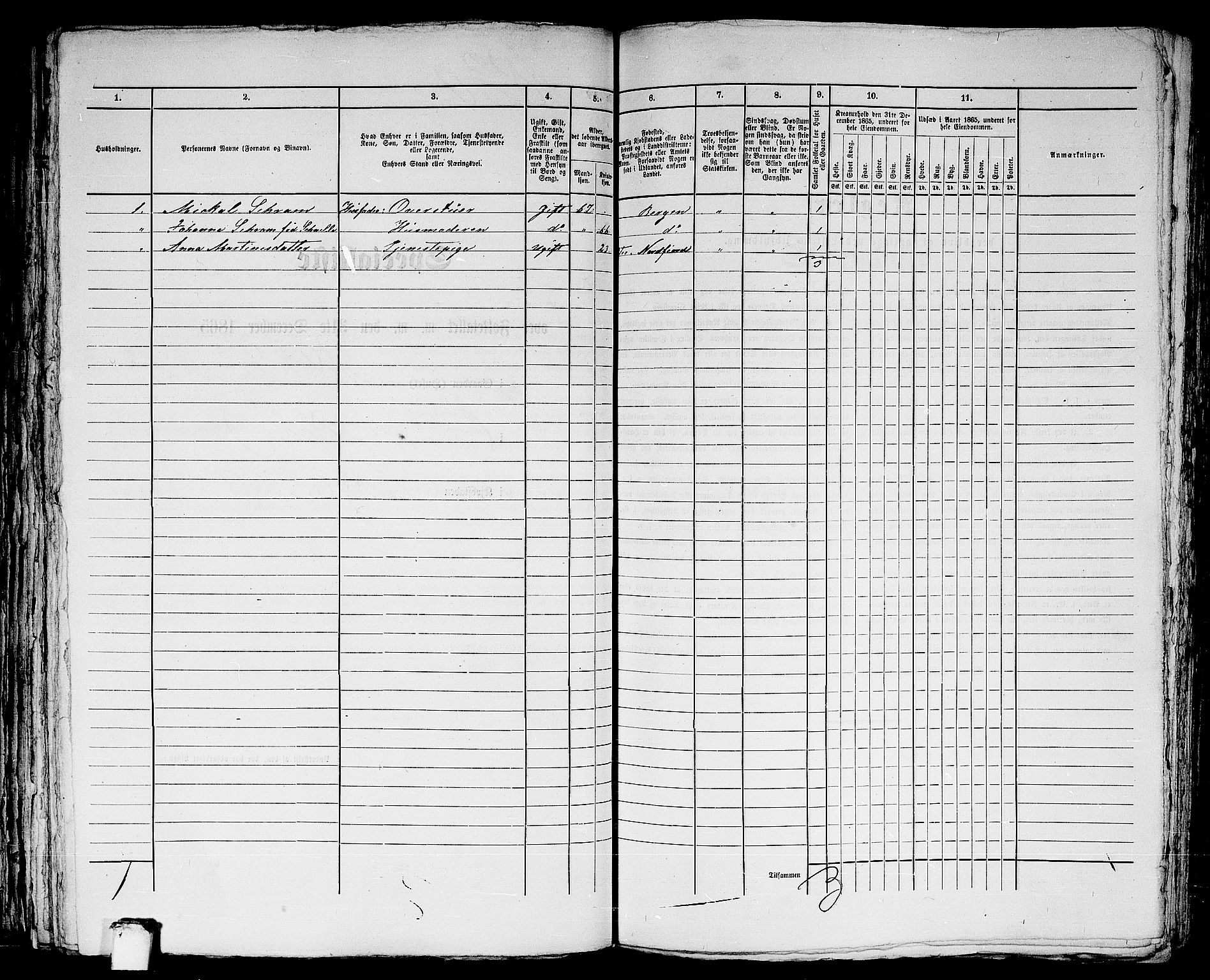 RA, 1865 census for Bergen, 1865, p. 3751