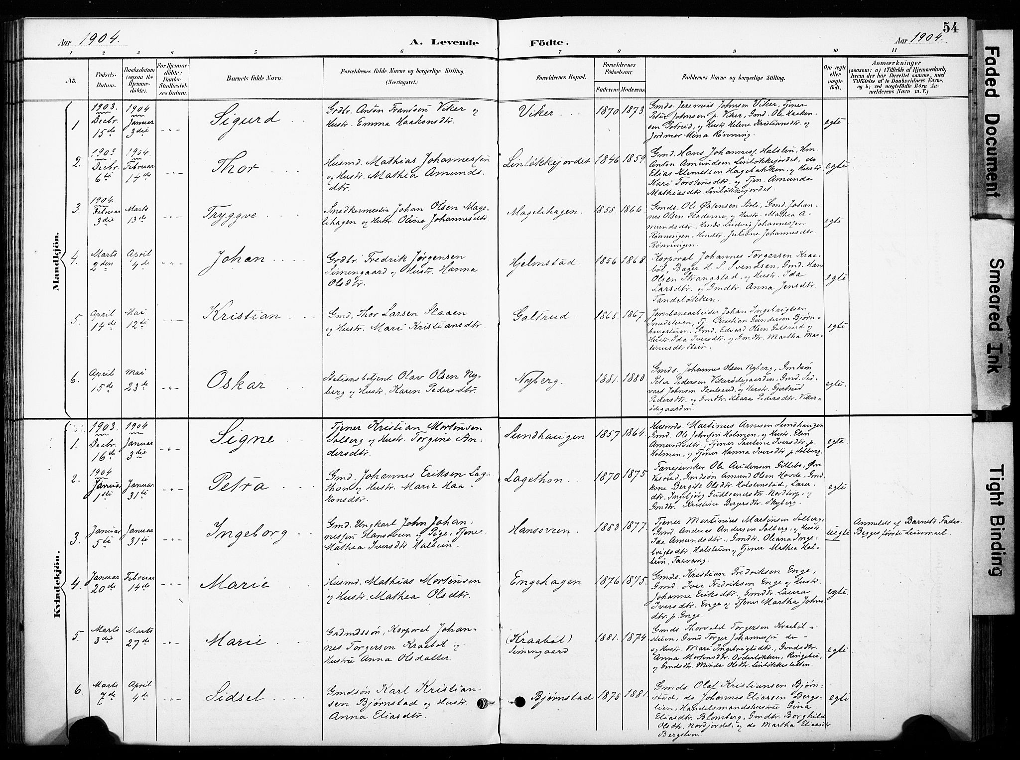 Øyer prestekontor, SAH/PREST-084/H/Ha/Haa/L0011: Parish register (official) no. 11, 1894-1905, p. 54