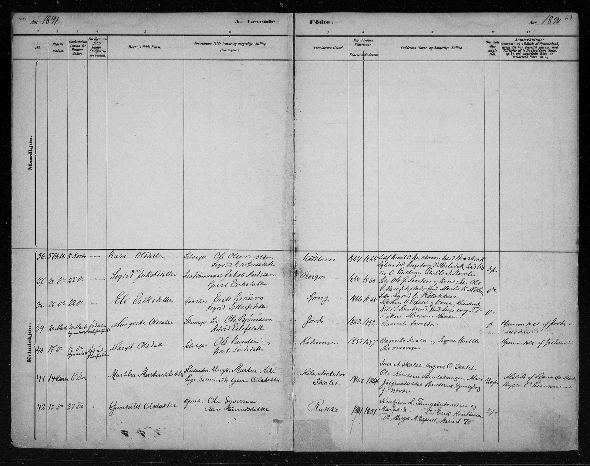 Nes kirkebøker, AV/SAKO-A-236/F/Fa/L0011: Parish register (official) no. 11, 1881-1912, p. 63