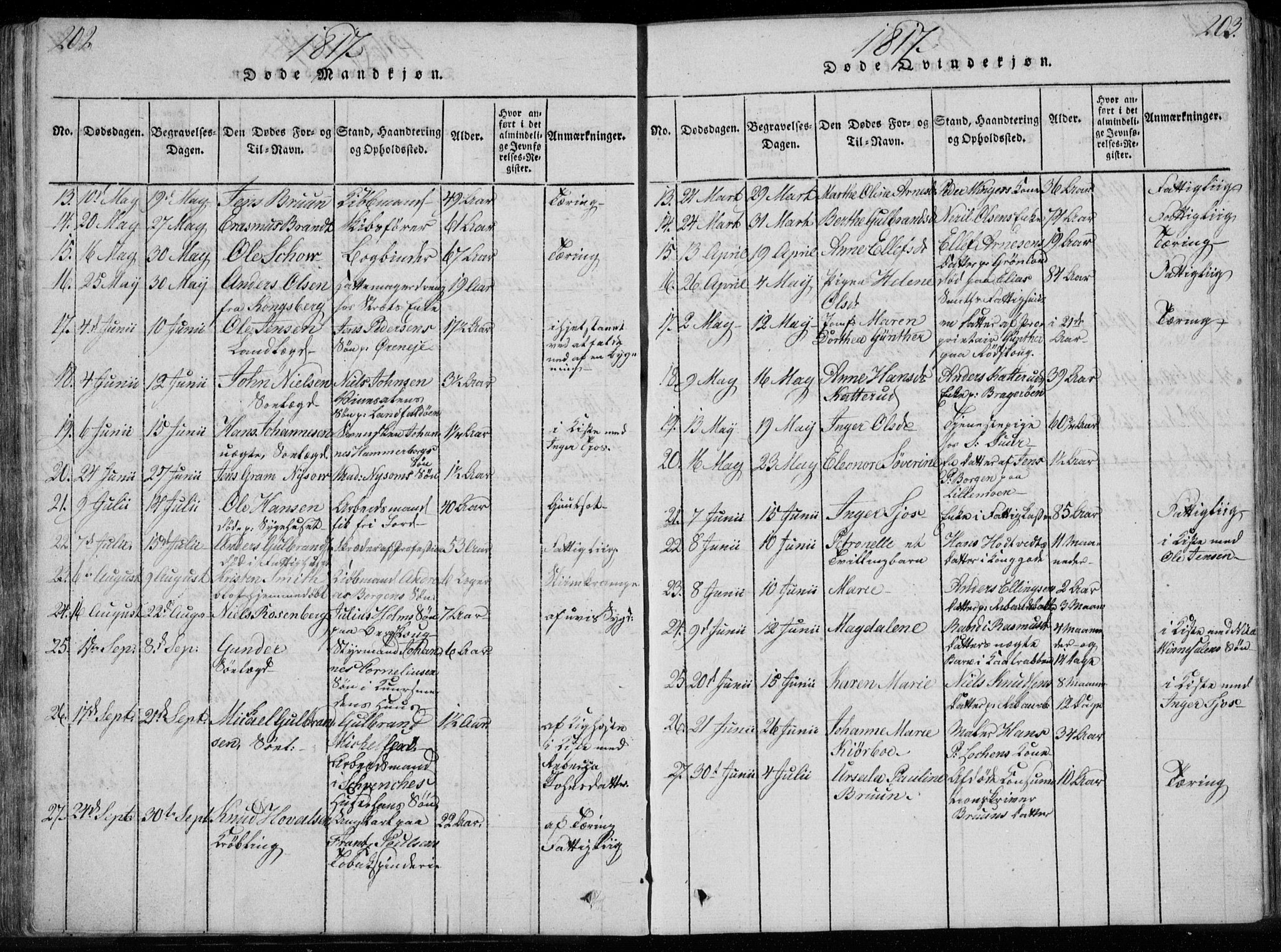 Bragernes kirkebøker, AV/SAKO-A-6/F/Fa/L0007: Parish register (official) no. I 7, 1815-1829, p. 202-203