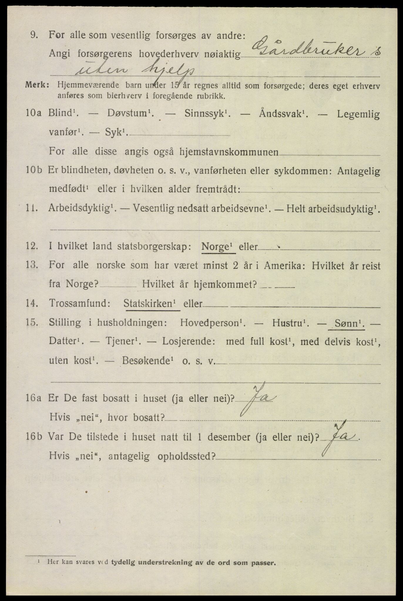 SAH, 1920 census for Åsnes, 1920, p. 2153