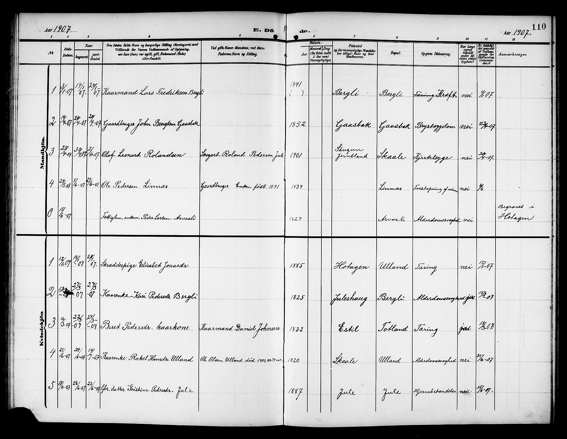 Ministerialprotokoller, klokkerbøker og fødselsregistre - Nord-Trøndelag, SAT/A-1458/757/L0506: Parish register (copy) no. 757C01, 1904-1922, p. 110
