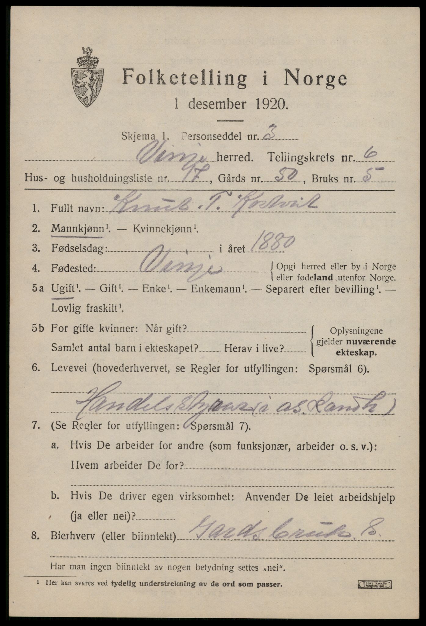 SAKO, 1920 census for Vinje, 1920, p. 1971