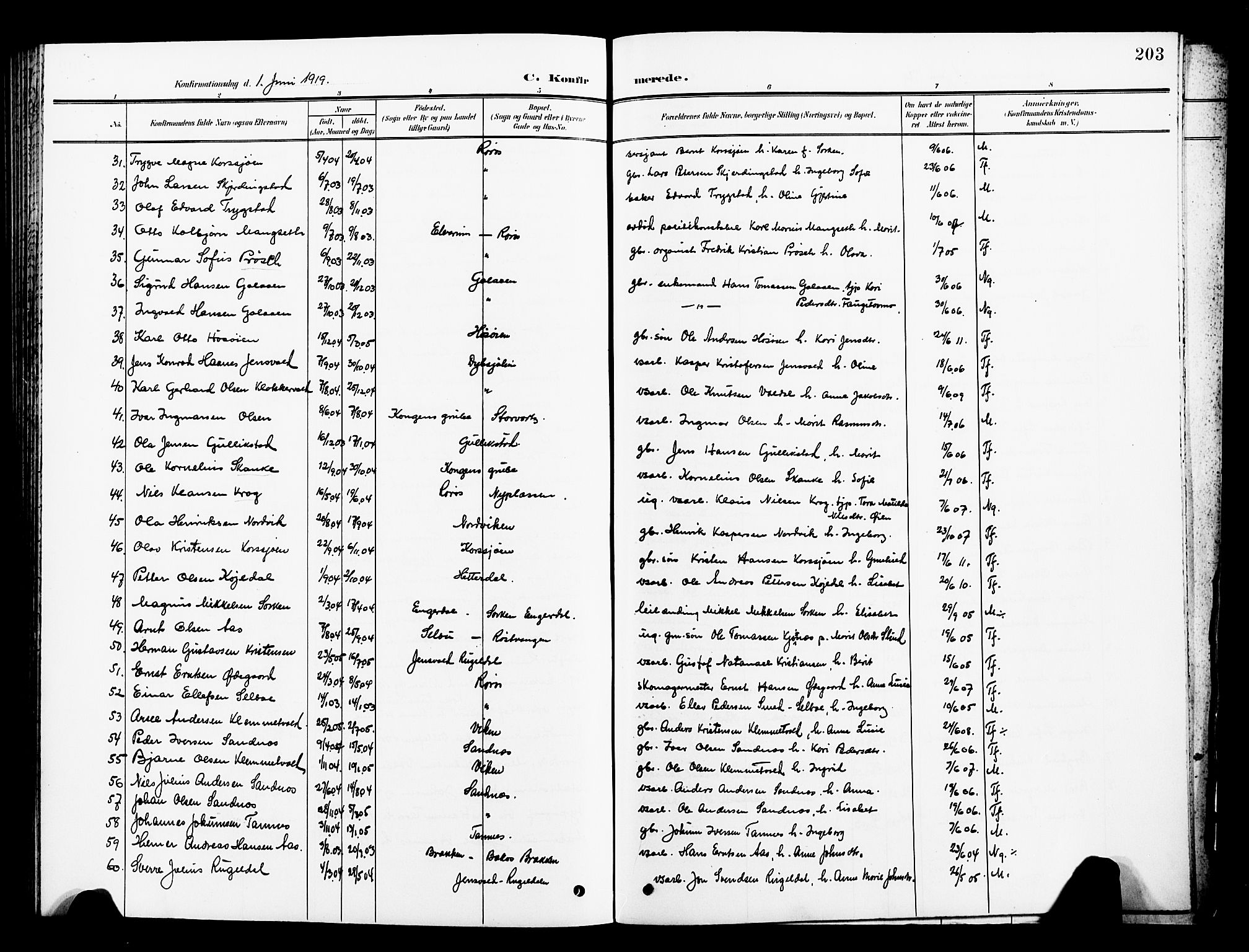 Ministerialprotokoller, klokkerbøker og fødselsregistre - Sør-Trøndelag, AV/SAT-A-1456/681/L0942: Parish register (copy) no. 681C06, 1906-1925, p. 203