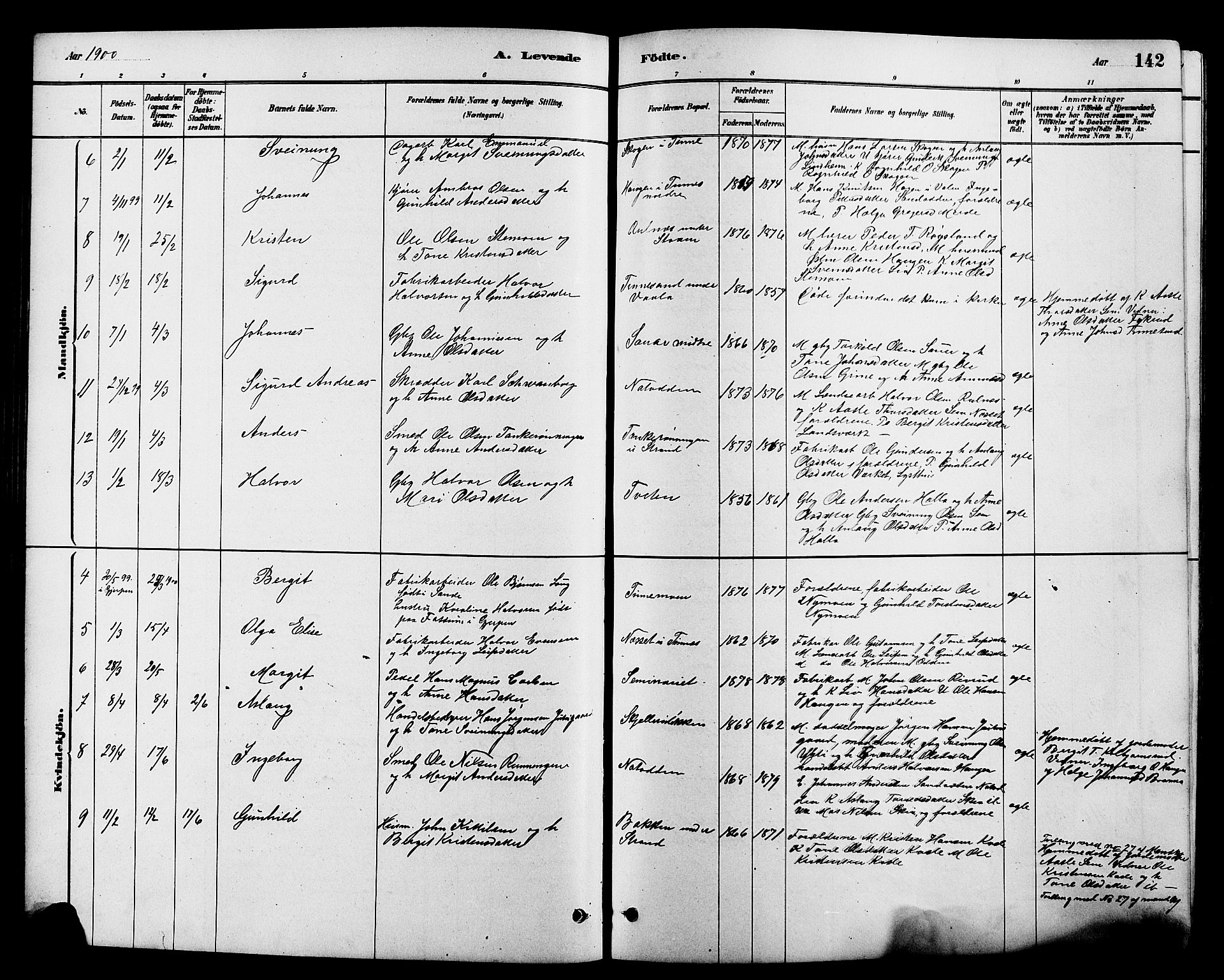 Heddal kirkebøker, SAKO/A-268/G/Ga/L0002: Parish register (copy) no. I 2, 1879-1908, p. 142