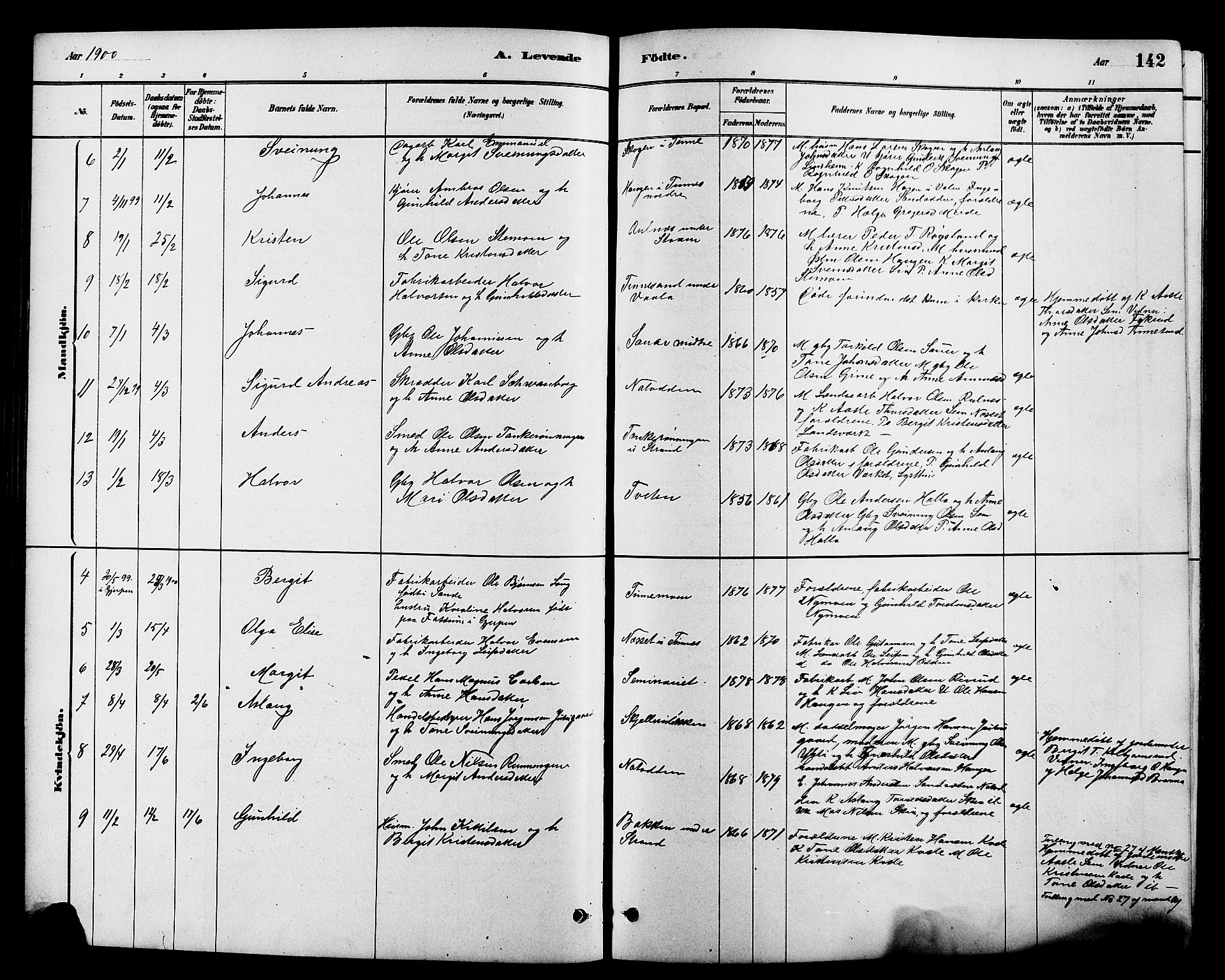 Heddal kirkebøker, AV/SAKO-A-268/G/Ga/L0002: Parish register (copy) no. I 2, 1879-1908, p. 142