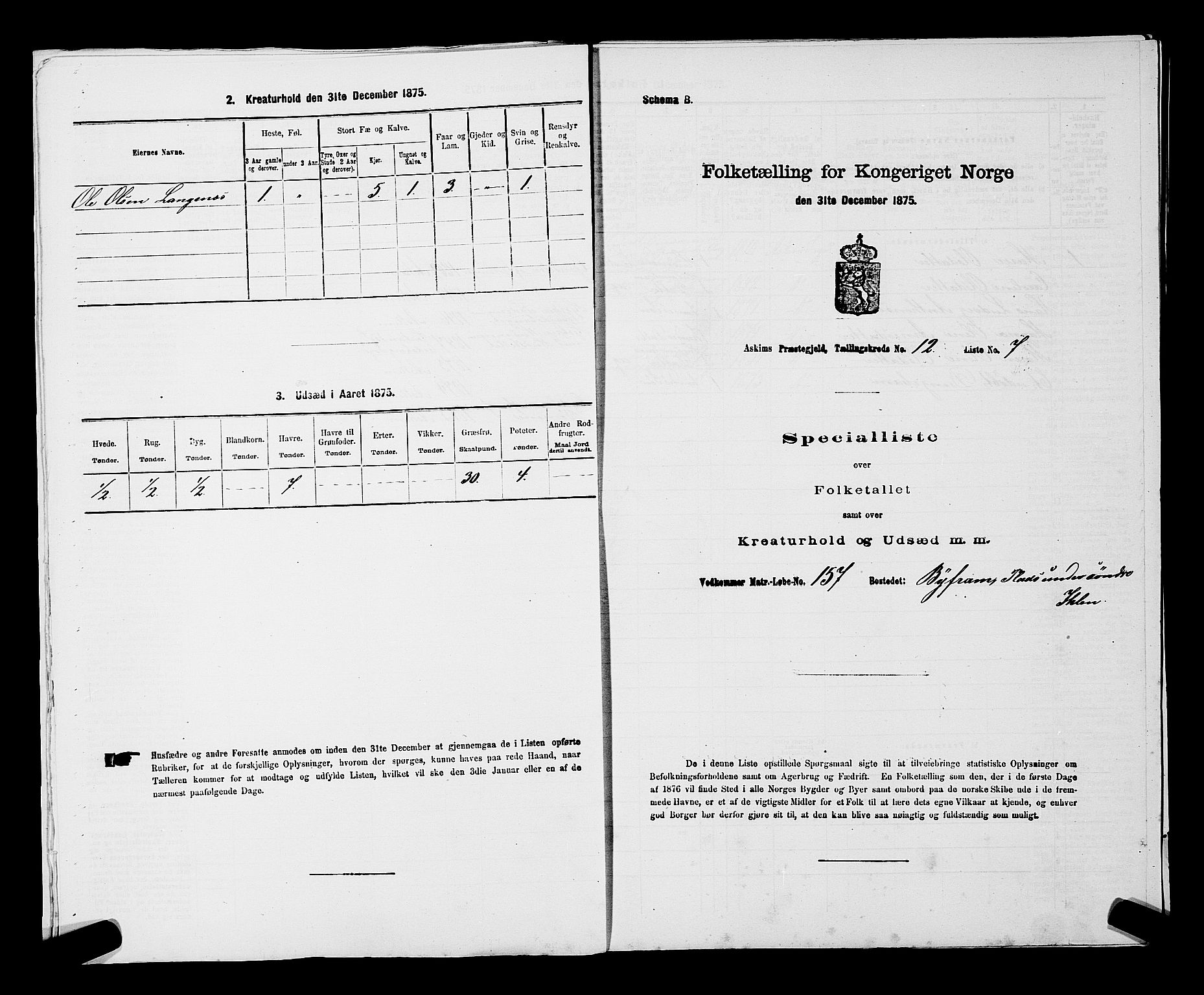 RA, 1875 census for 0124P Askim, 1875, p. 817