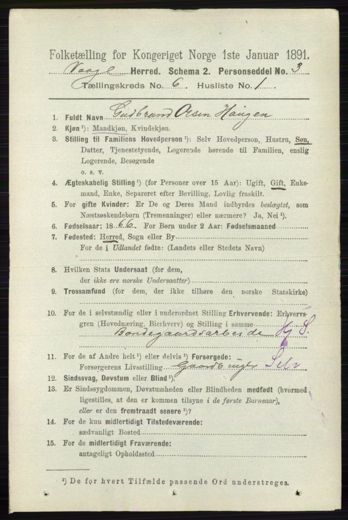 RA, 1891 census for 0515 Vågå, 1891, p. 3898