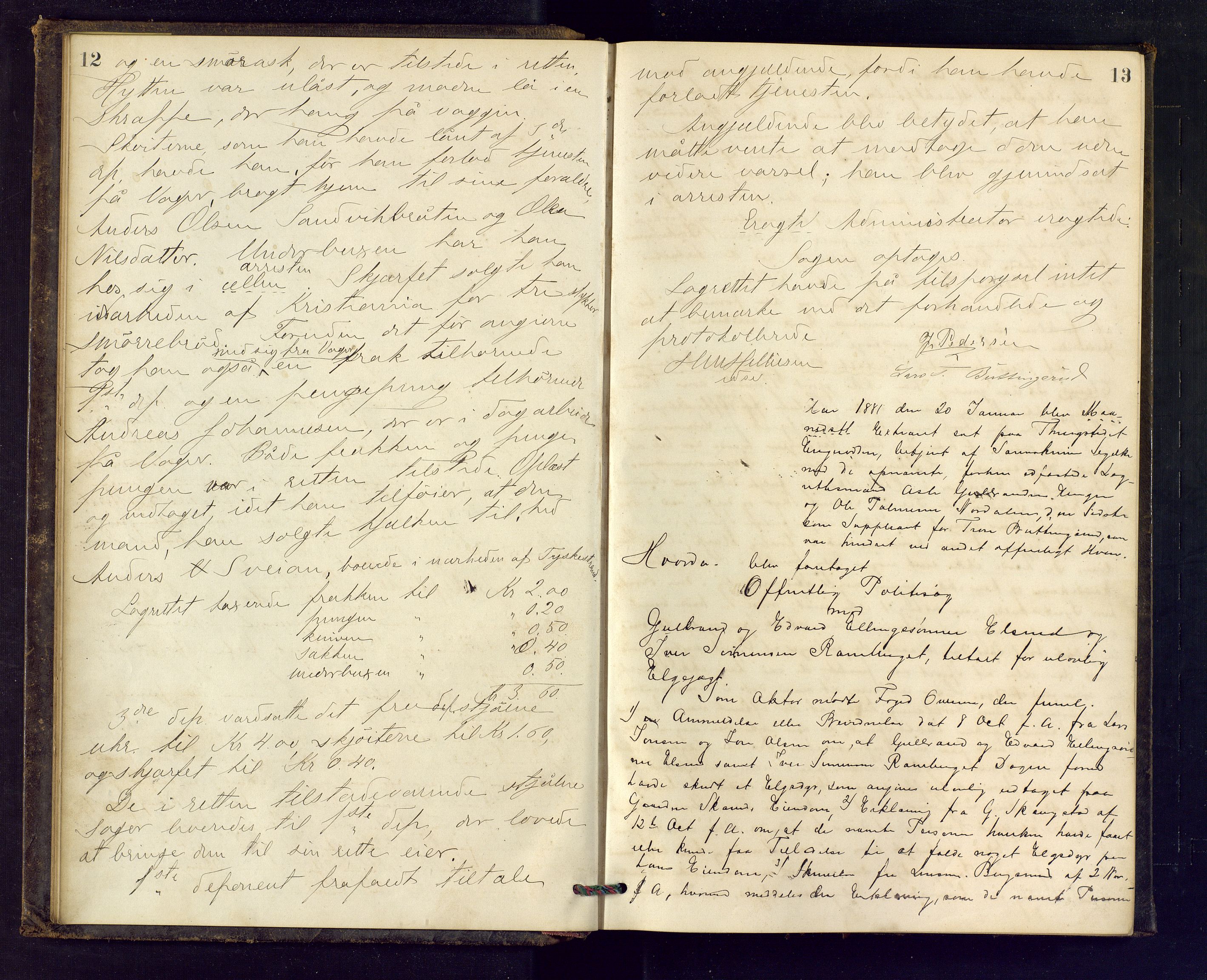 Ringerike sorenskriveri, AV/SAKO-A-105/F/Fc/Fca/L0017: Ekstrarettsprotokoll, 1880-1882, p. 12-13