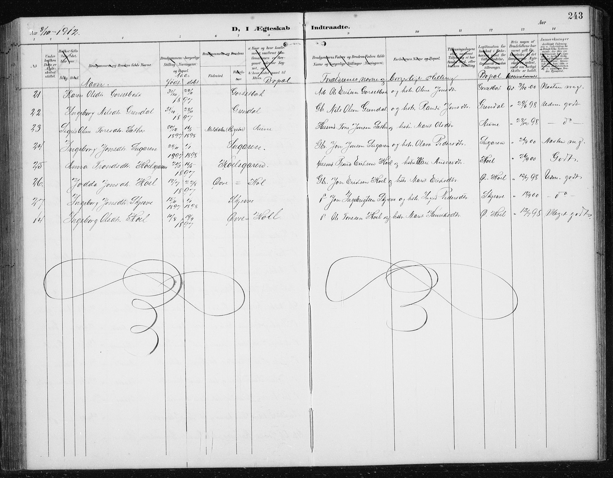 Ministerialprotokoller, klokkerbøker og fødselsregistre - Sør-Trøndelag, AV/SAT-A-1456/674/L0876: Parish register (copy) no. 674C03, 1892-1912, p. 243