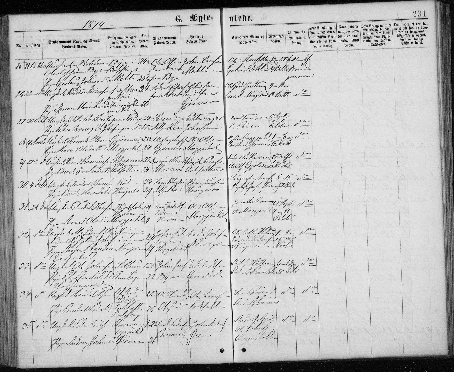 Ministerialprotokoller, klokkerbøker og fødselsregistre - Sør-Trøndelag, SAT/A-1456/668/L0817: Parish register (copy) no. 668C06, 1873-1884, p. 231