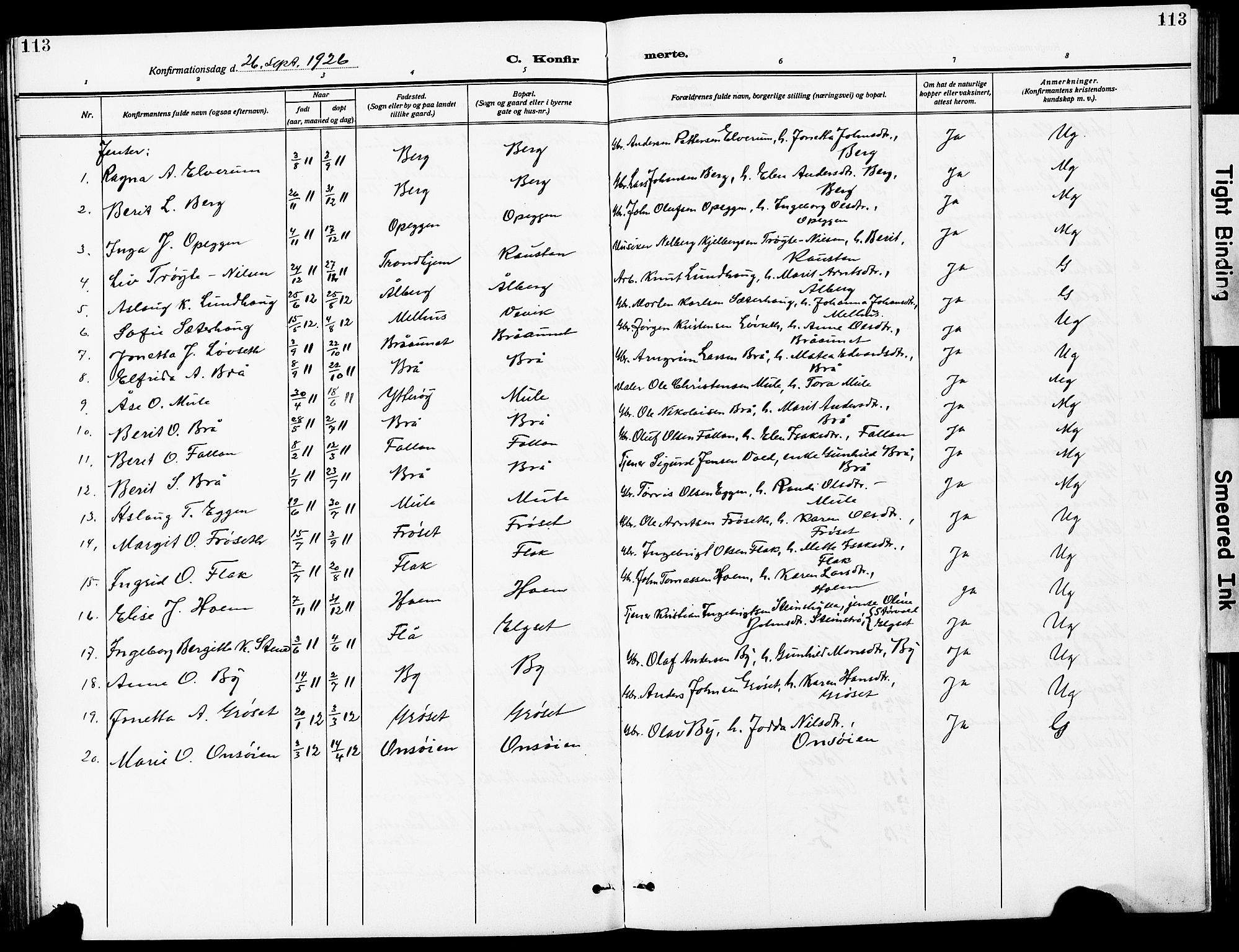 Ministerialprotokoller, klokkerbøker og fødselsregistre - Sør-Trøndelag, SAT/A-1456/612/L0388: Parish register (copy) no. 612C04, 1909-1929, p. 113