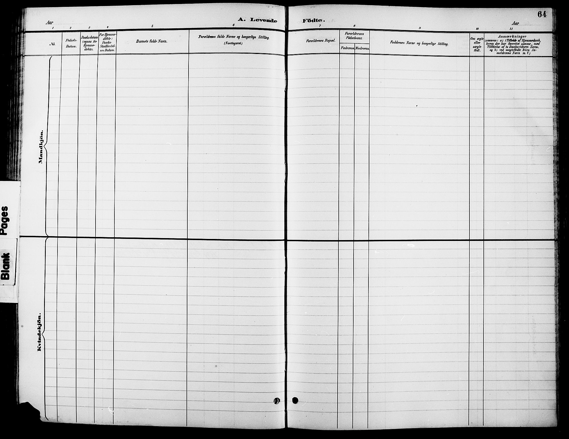 Lesja prestekontor, AV/SAH-PREST-068/H/Ha/Hab/L0007: Parish register (copy) no. 7, 1895-1919, p. 64