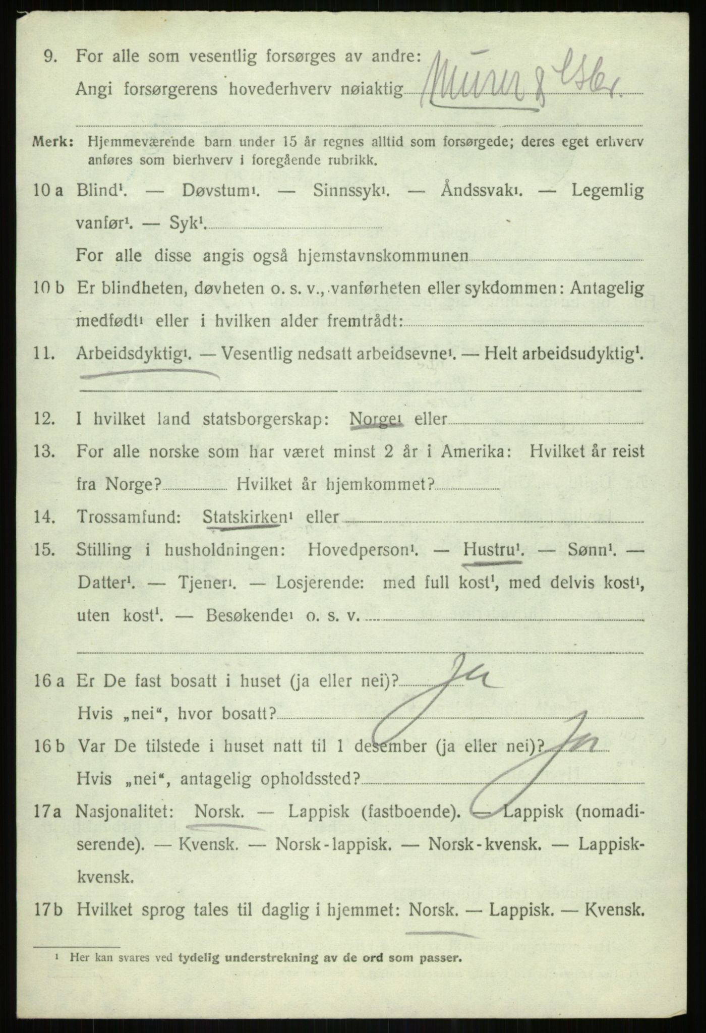 SATØ, 1920 census for Lenvik, 1920, p. 12247