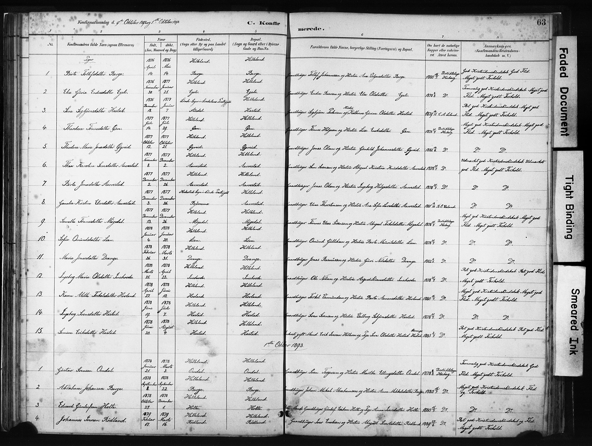 Helleland sokneprestkontor, SAST/A-101810: Parish register (official) no. A 8, 1887-1907, p. 63