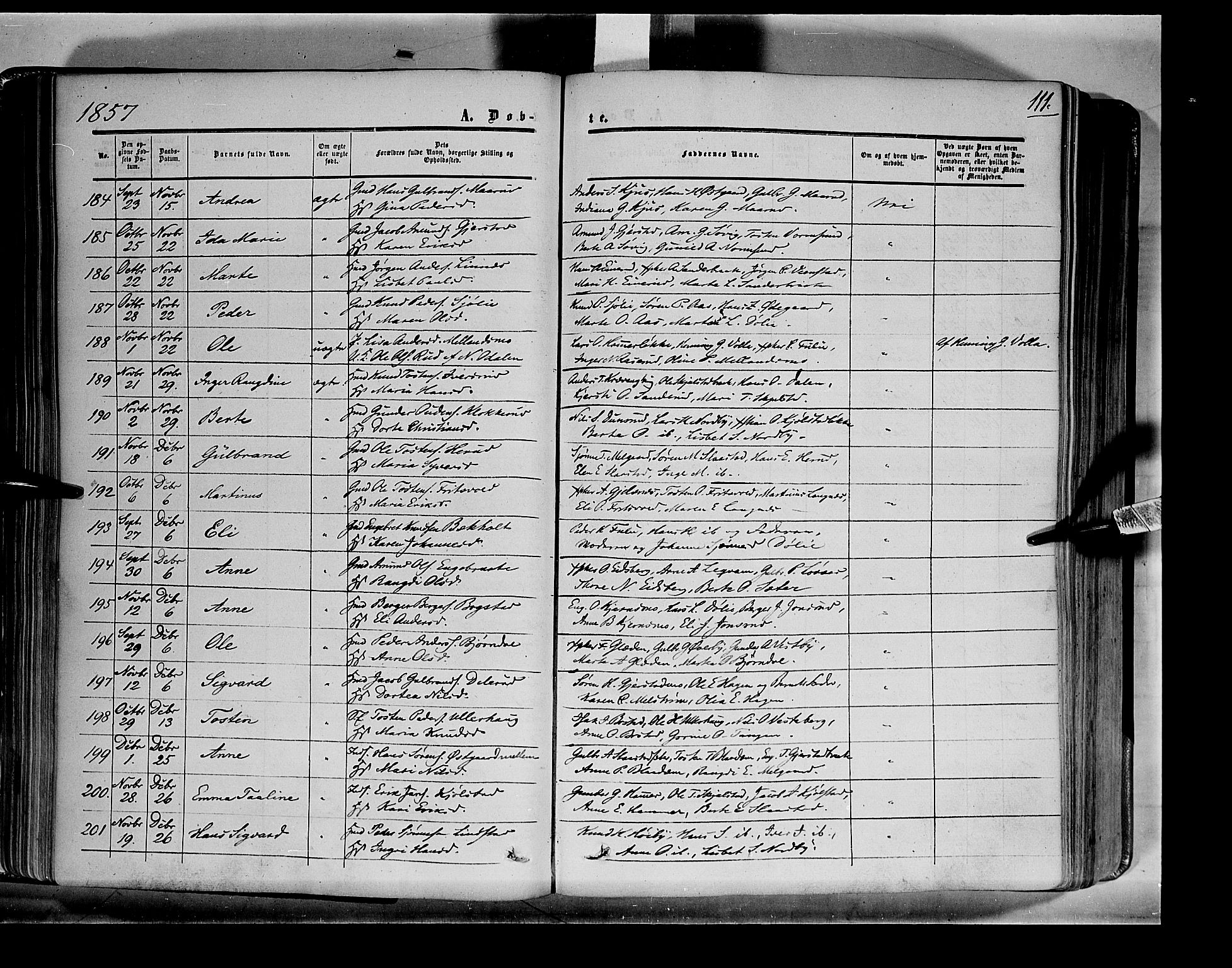 Sør-Odal prestekontor, AV/SAH-PREST-030/H/Ha/Haa/L0001: Parish register (official) no. 1, 1849-1859, p. 111