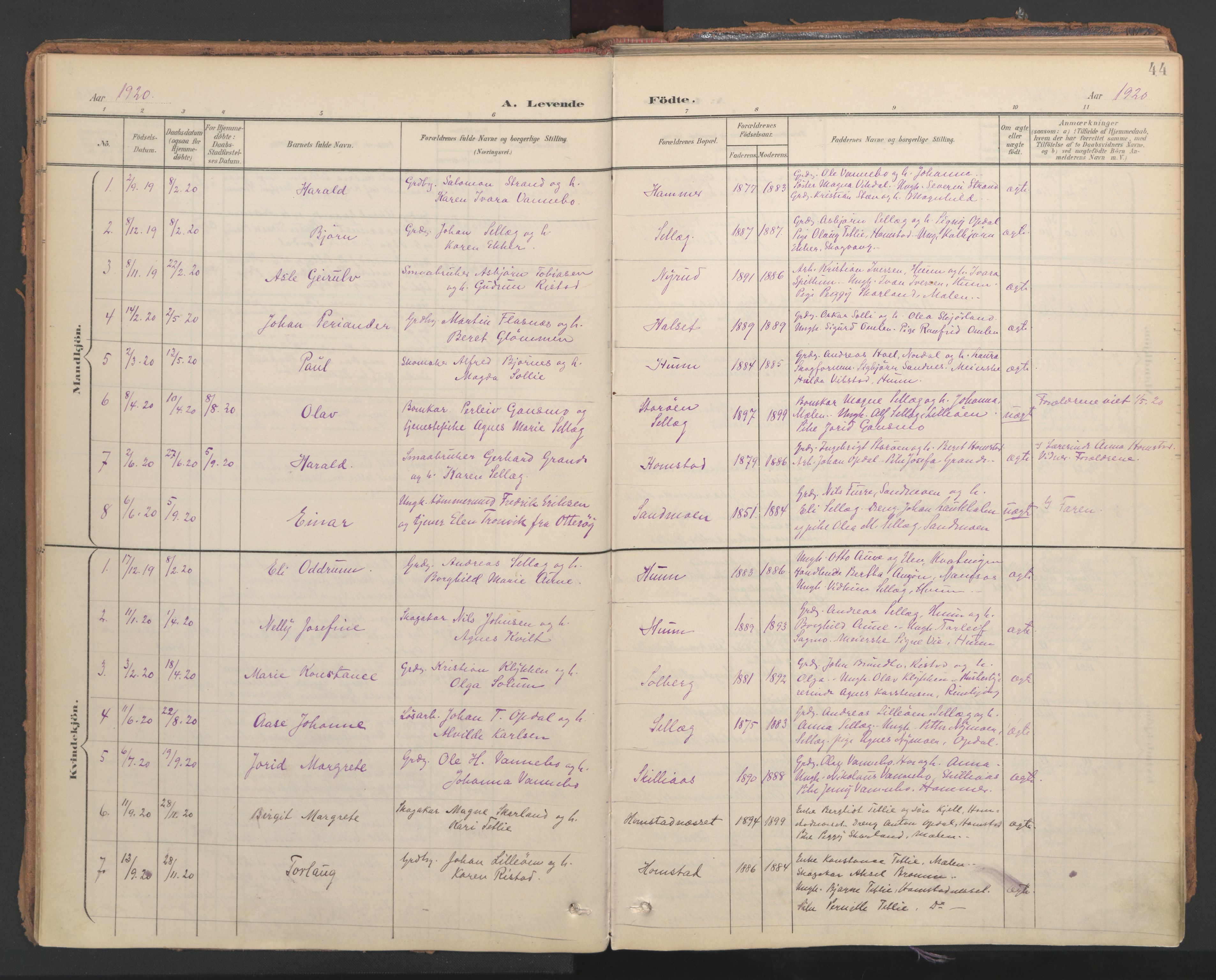 Ministerialprotokoller, klokkerbøker og fødselsregistre - Nord-Trøndelag, SAT/A-1458/766/L0564: Parish register (official) no. 767A02, 1900-1932, p. 44