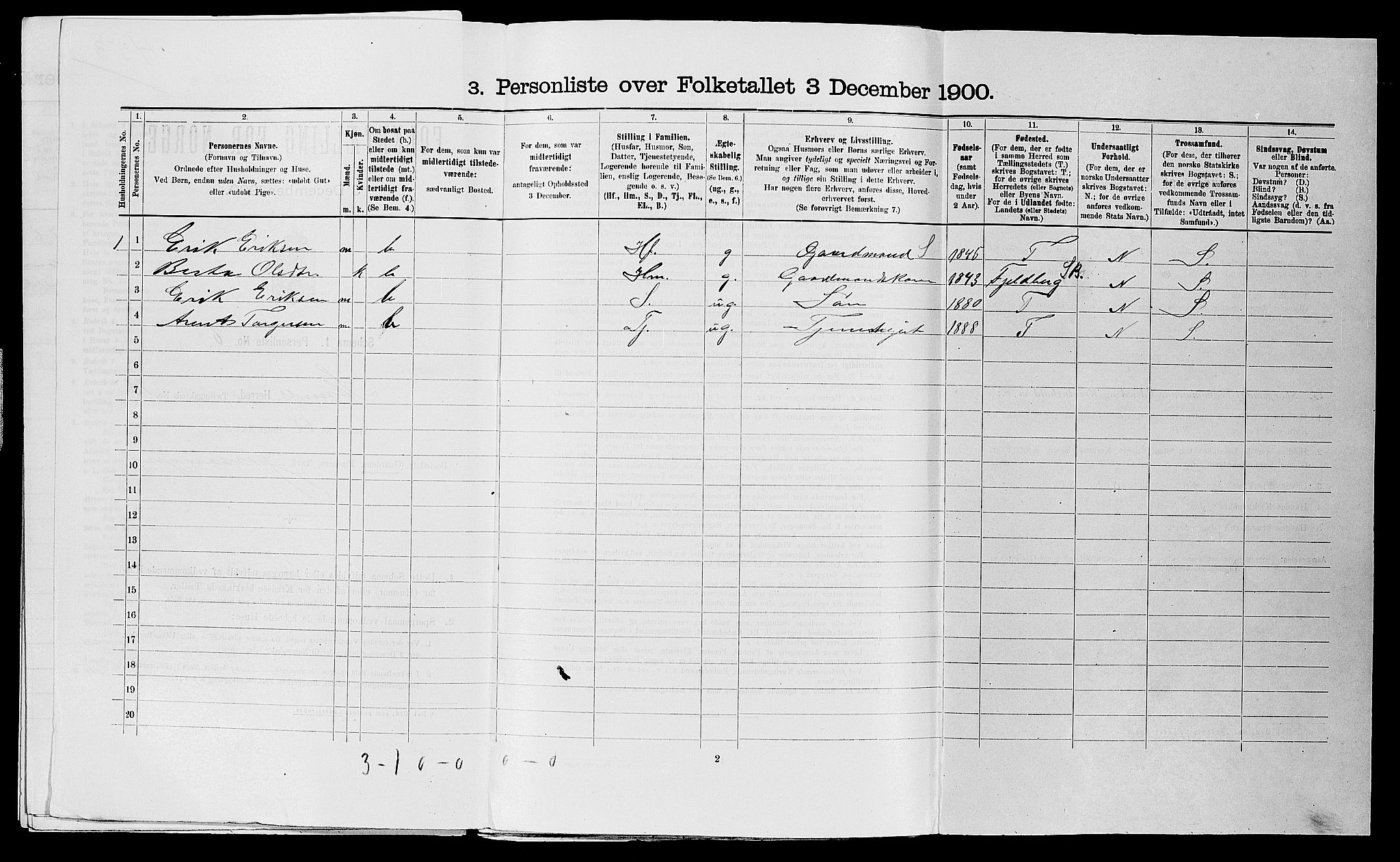 SAST, 1900 census for Strand, 1900, p. 816