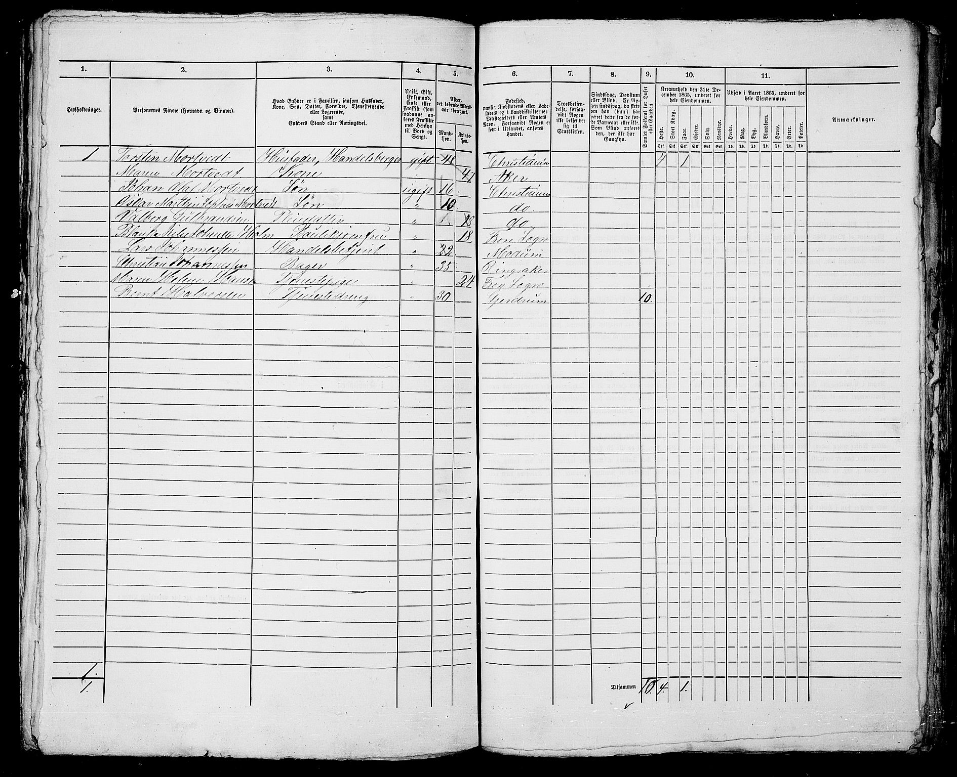 RA, 1865 census for Kristiania, 1865, p. 1037