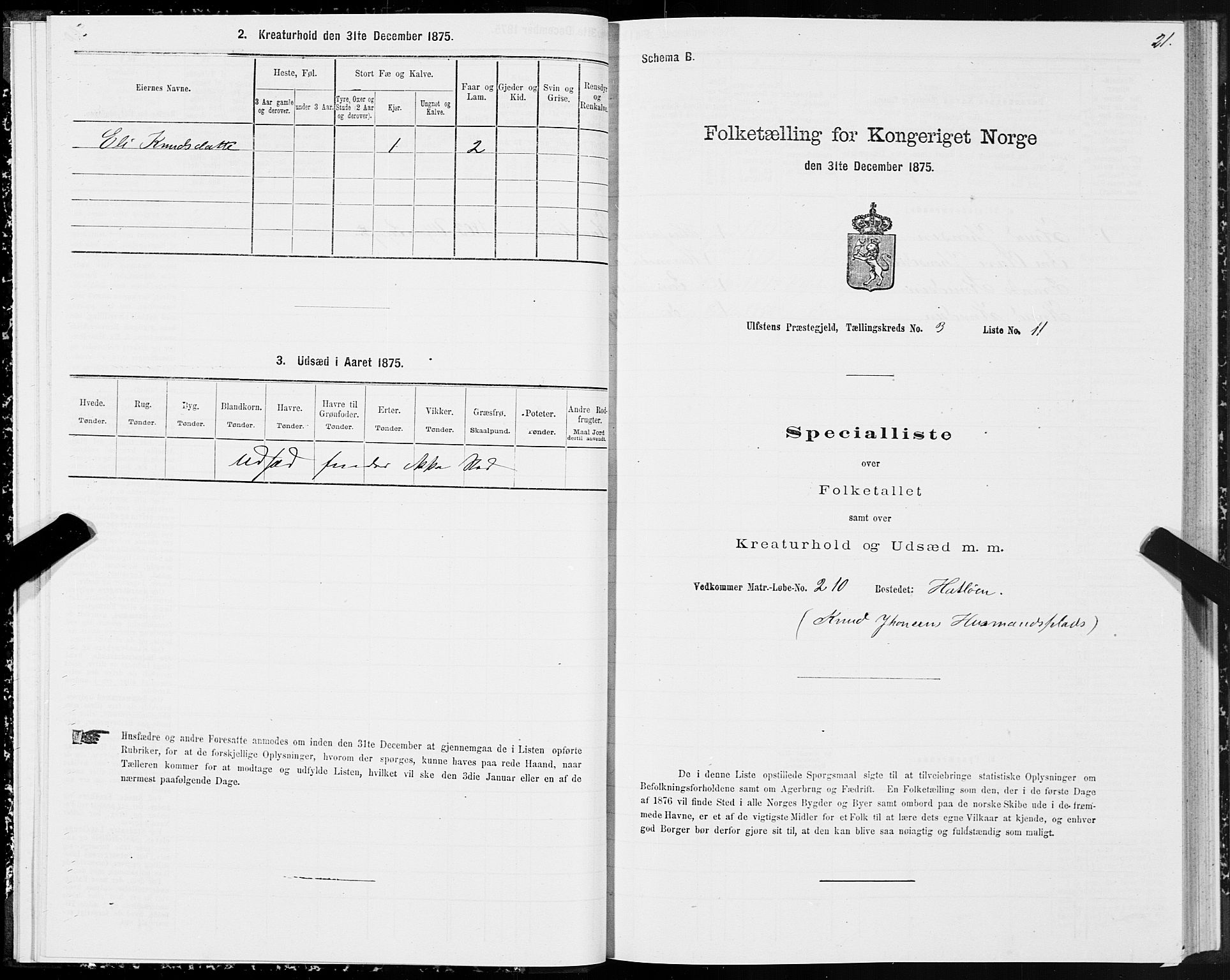 SAT, 1875 census for 1516P Ulstein, 1875, p. 2021