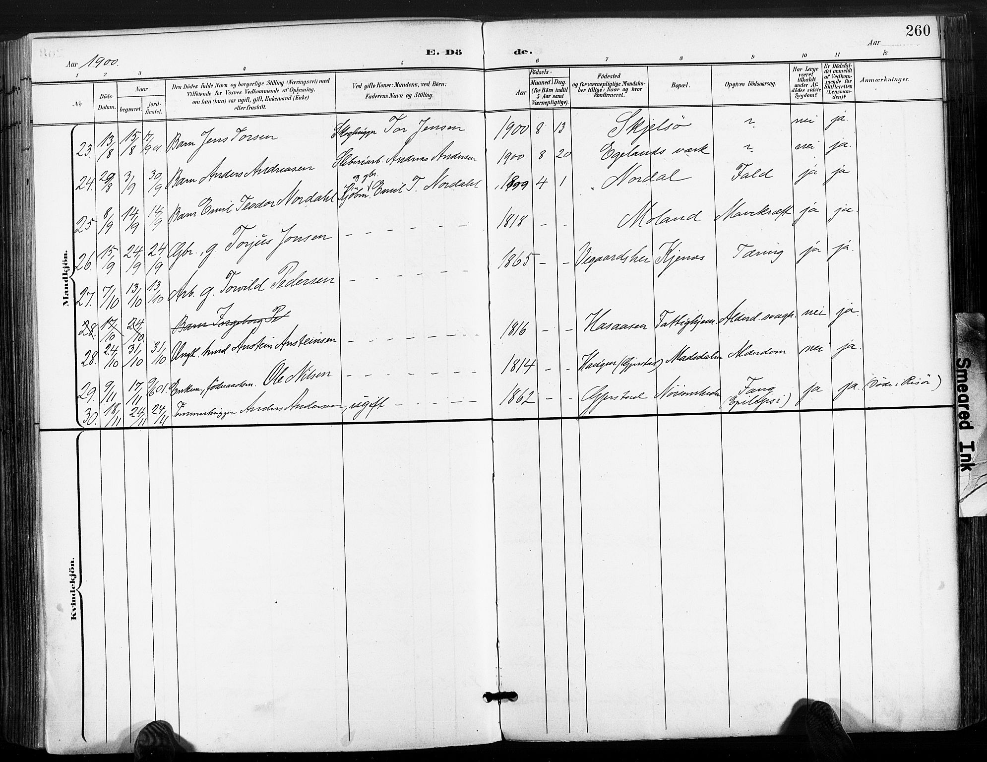 Søndeled sokneprestkontor, AV/SAK-1111-0038/F/Fa/L0006: Parish register (official) no. A 6, 1900-1922, p. 260