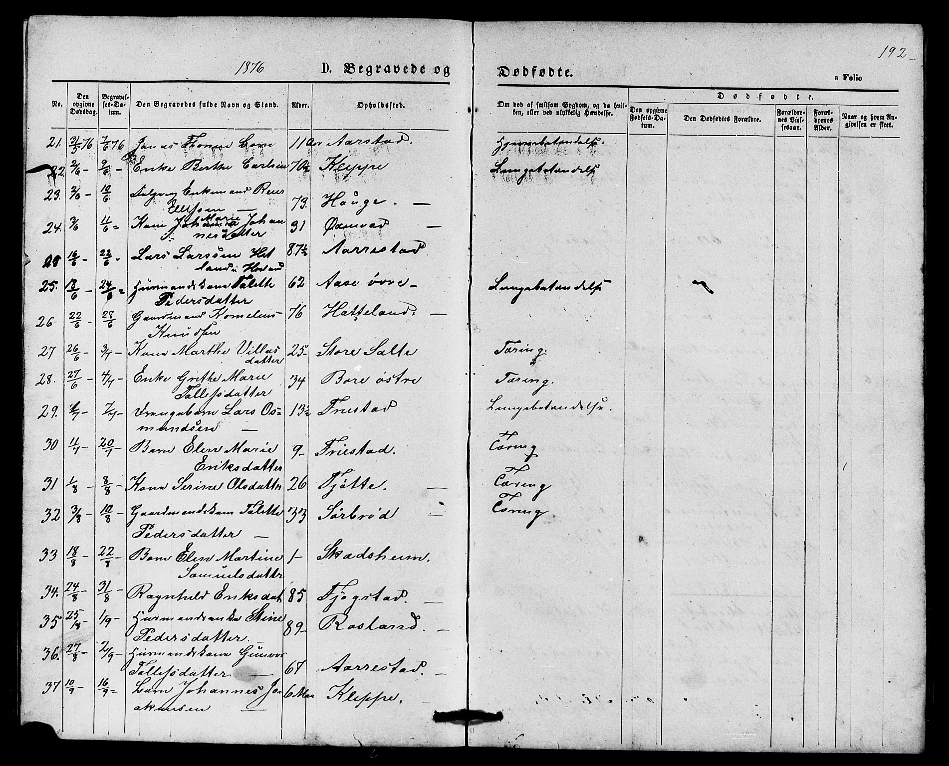 Klepp sokneprestkontor, SAST/A-101803/001/3/30BB/L0003: Parish register (copy) no. B 3, 1876-1888, p. 192
