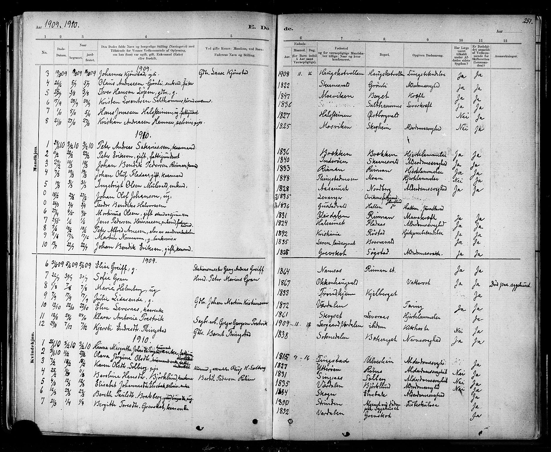 Ministerialprotokoller, klokkerbøker og fødselsregistre - Nord-Trøndelag, AV/SAT-A-1458/721/L0208: Parish register (copy) no. 721C01, 1880-1917, p. 251