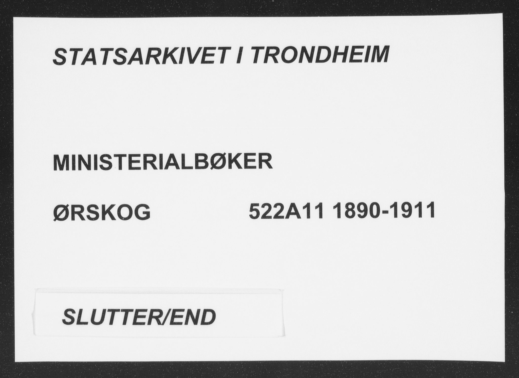 Ministerialprotokoller, klokkerbøker og fødselsregistre - Møre og Romsdal, AV/SAT-A-1454/522/L0316: Parish register (official) no. 522A11, 1890-1911