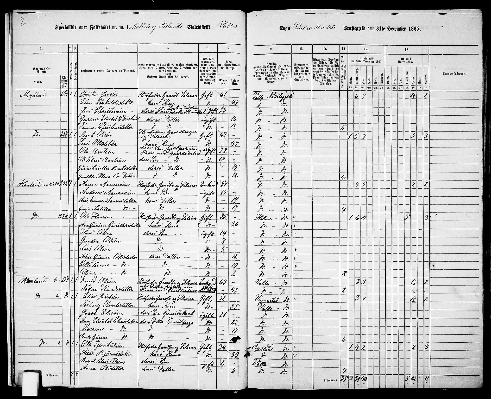 RA, 1865 census for Sør-Audnedal, 1865, p. 18