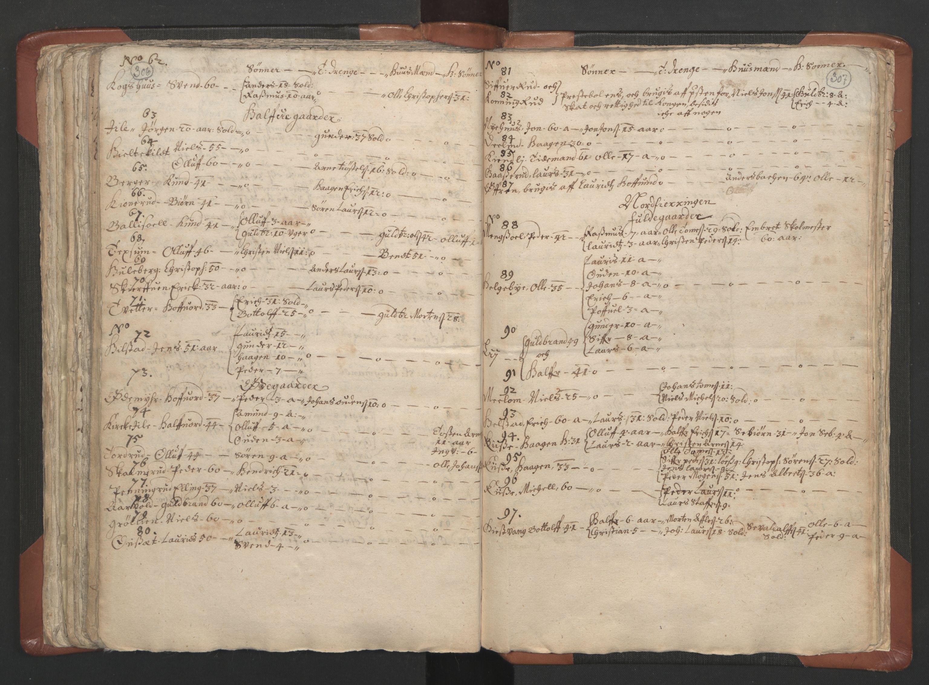 RA, Vicar's Census 1664-1666, no. 5: Hedmark deanery, 1664-1666, p. 306-307