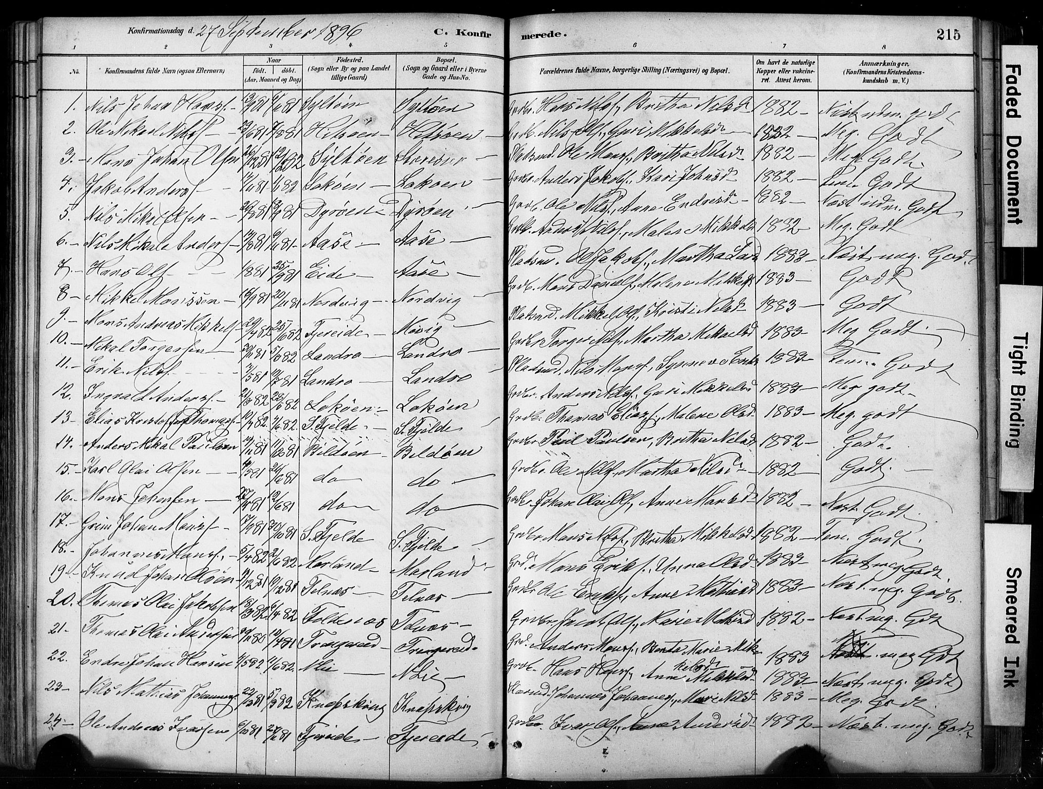 Fjell sokneprestembete, SAB/A-75301/H/Hab: Parish register (copy) no. A 4, 1880-1899, p. 215