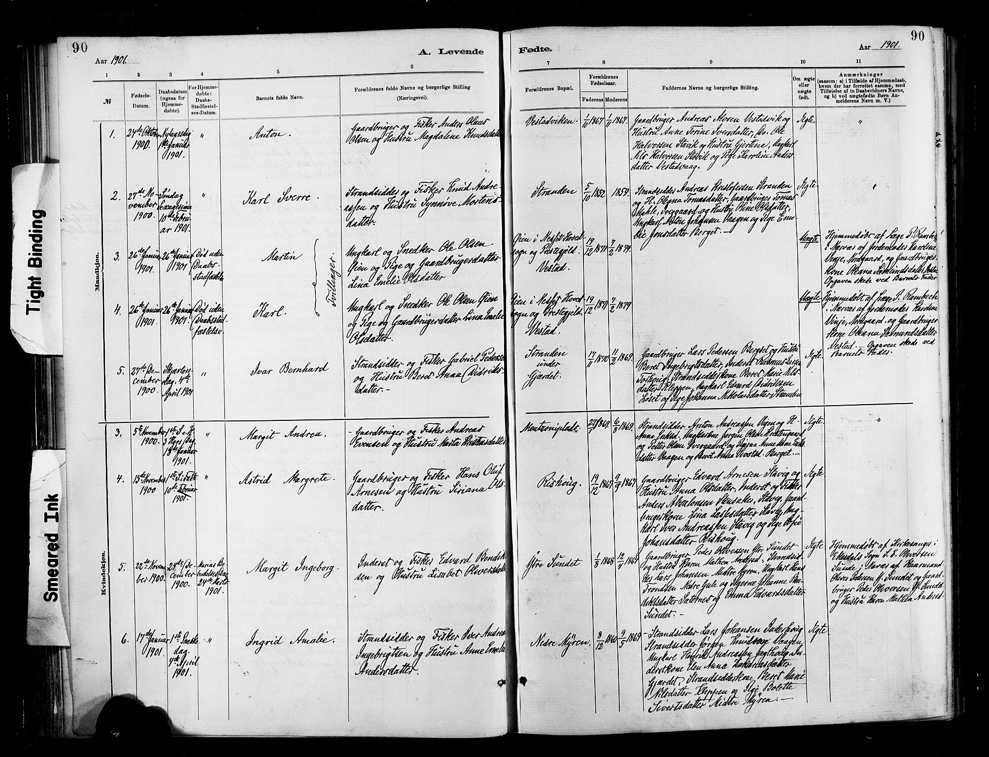 Ministerialprotokoller, klokkerbøker og fødselsregistre - Møre og Romsdal, AV/SAT-A-1454/566/L0769: Parish register (official) no. 566A08, 1881-1903, p. 90