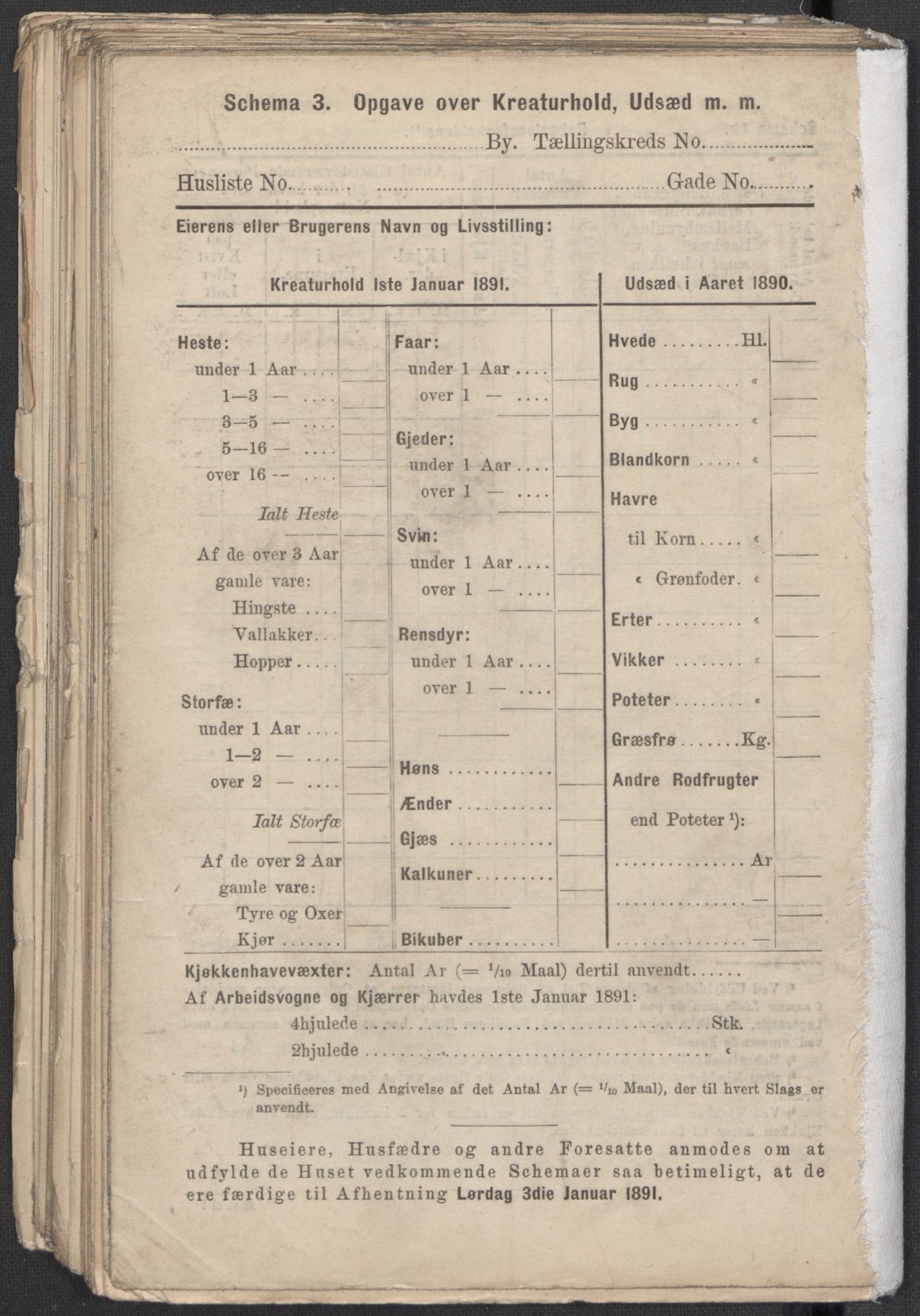 RA, 1891 Census for 1301 Bergen, 1891, p. 1999