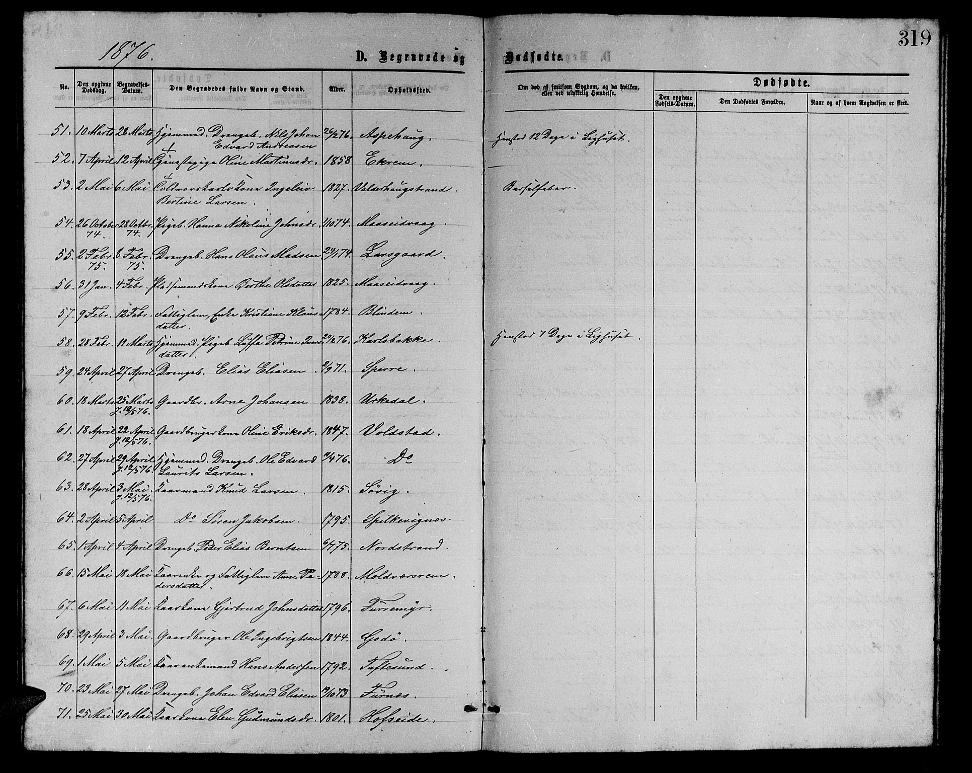 Ministerialprotokoller, klokkerbøker og fødselsregistre - Møre og Romsdal, AV/SAT-A-1454/528/L0428: Parish register (copy) no. 528C09, 1864-1880, p. 319