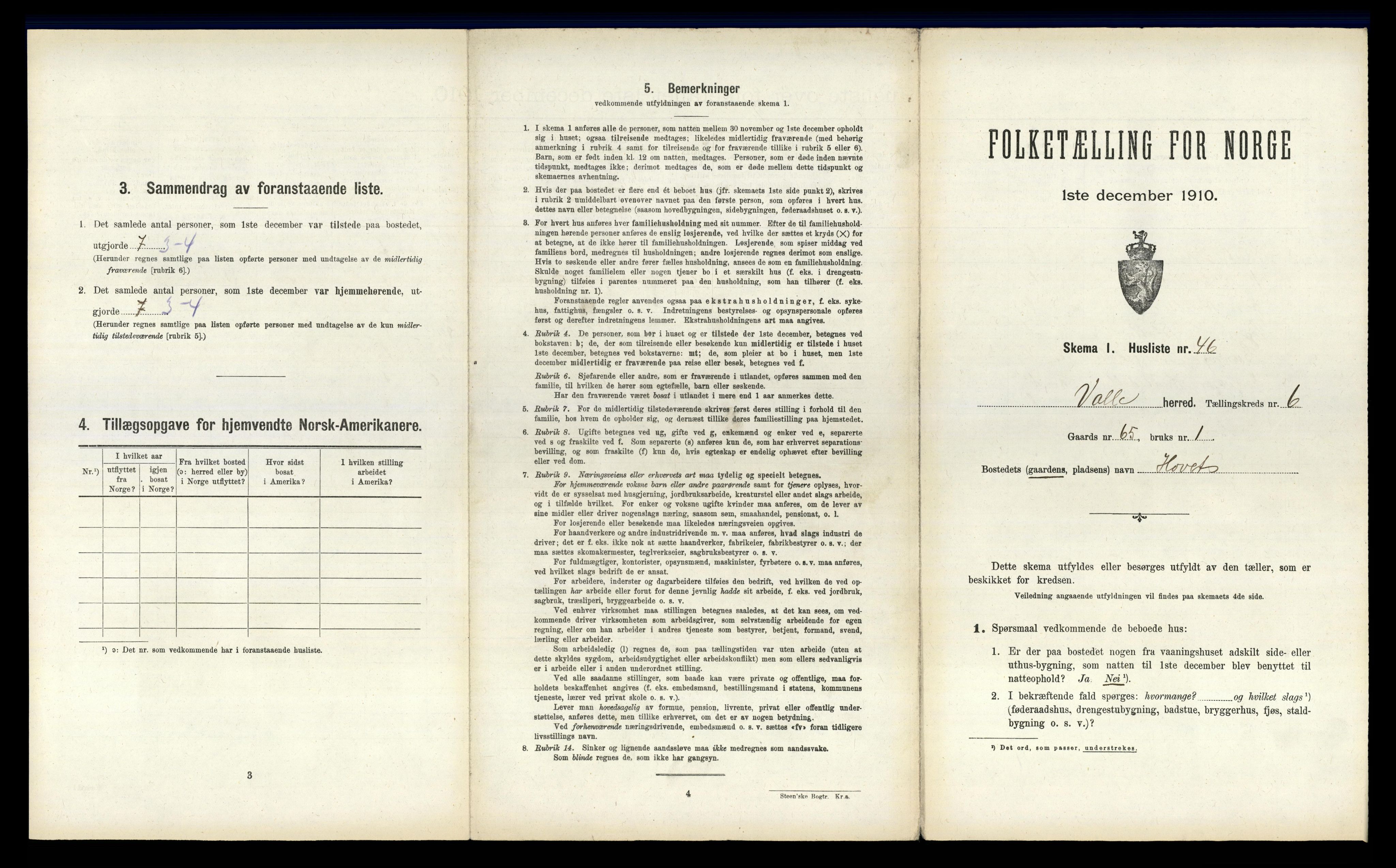 RA, 1910 census for Valle, 1910, p. 593