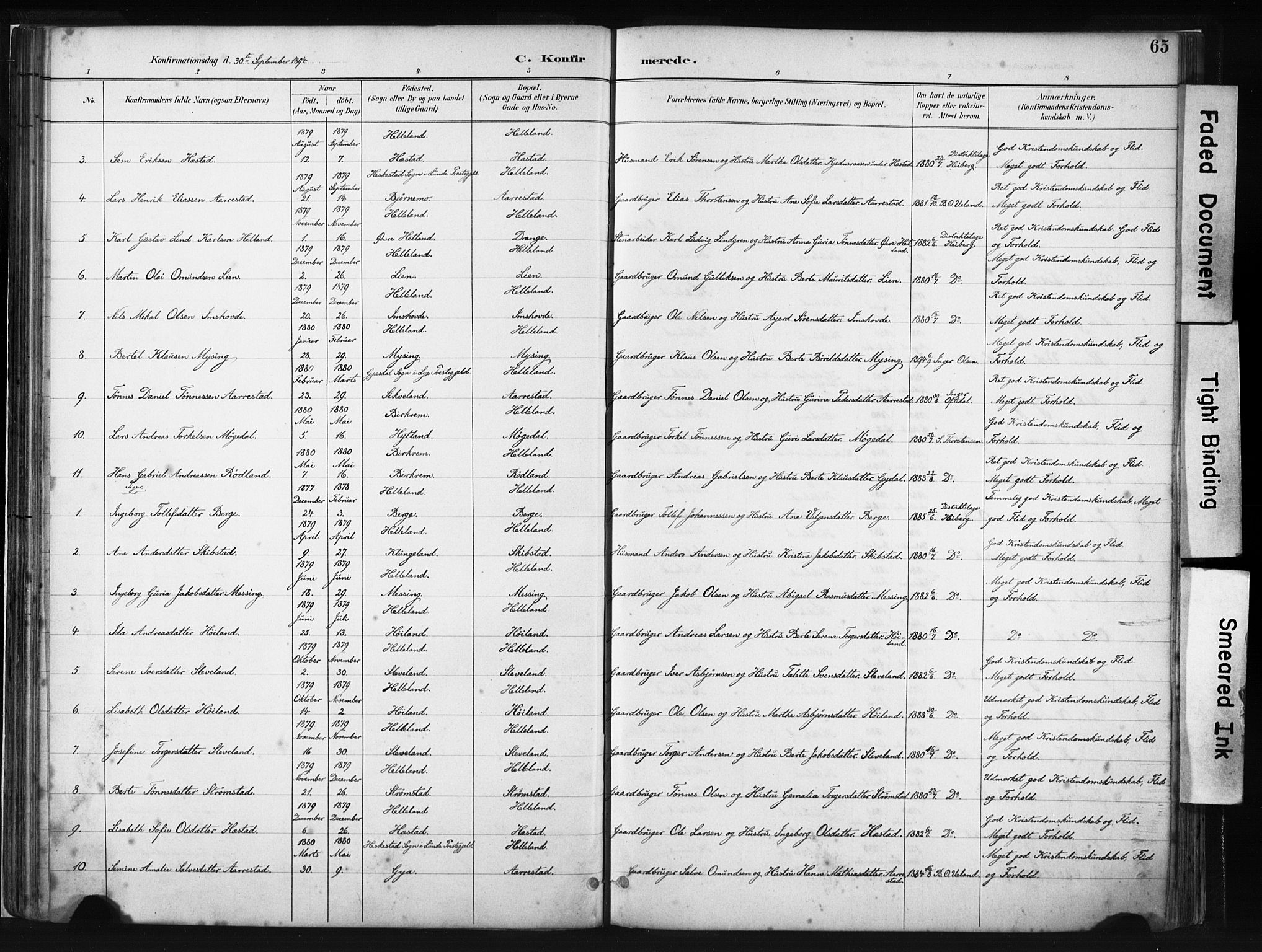 Helleland sokneprestkontor, AV/SAST-A-101810: Parish register (official) no. A 8, 1887-1907, p. 65