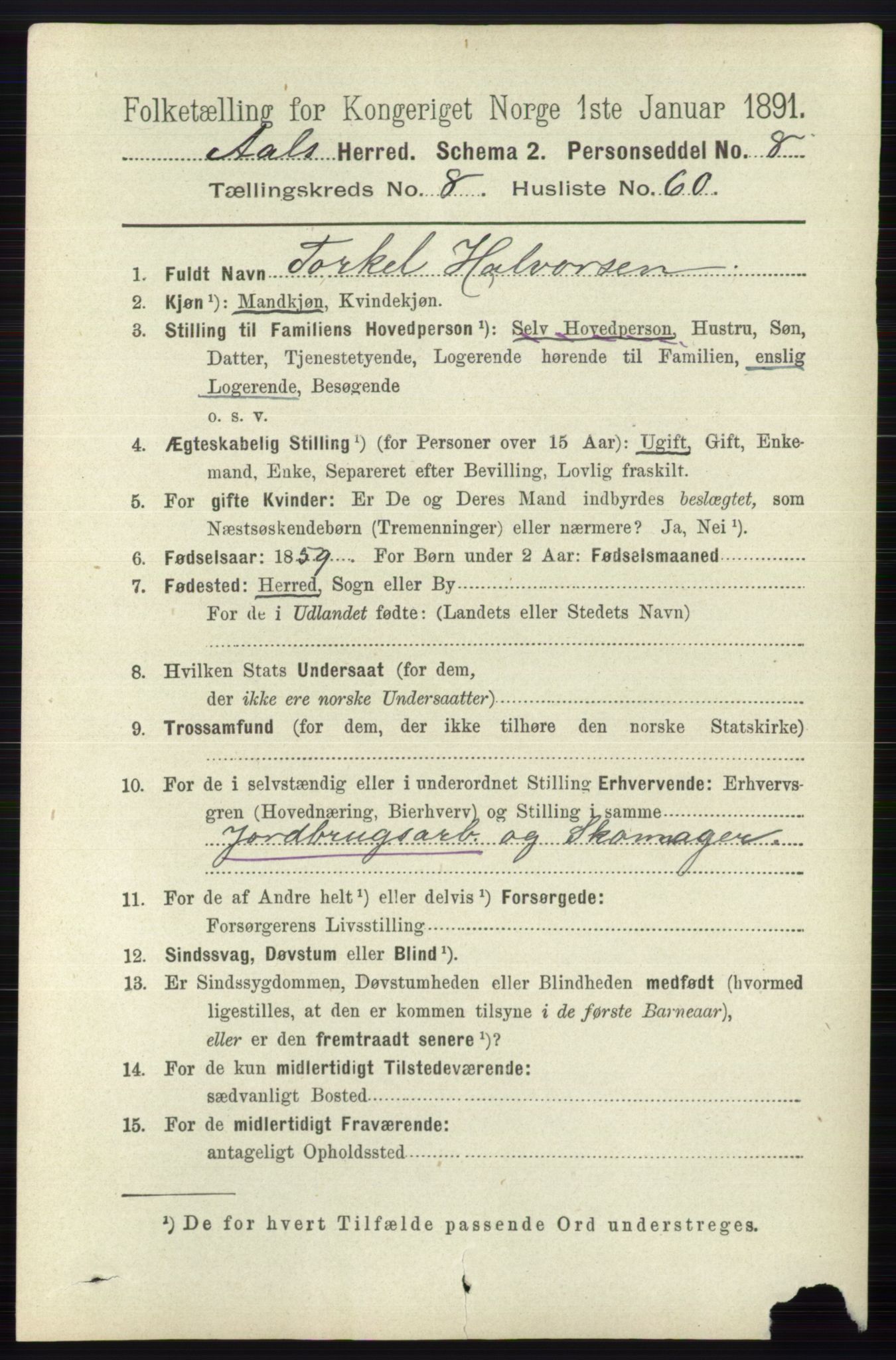 RA, 1891 census for 0619 Ål, 1891, p. 2440