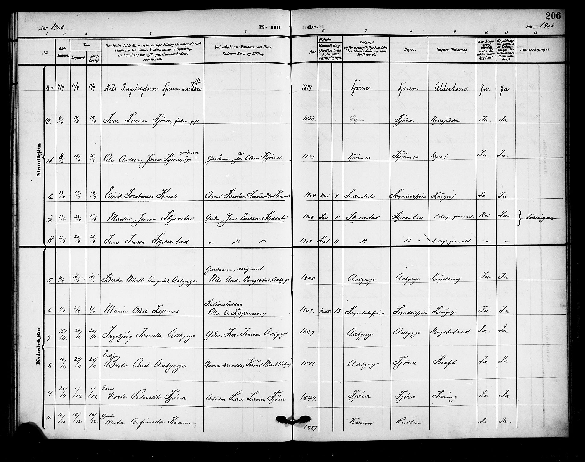 Sogndal sokneprestembete, AV/SAB-A-81301/H/Hab/Haba/L0002: Parish register (copy) no. A 2, 1908-1924, p. 206