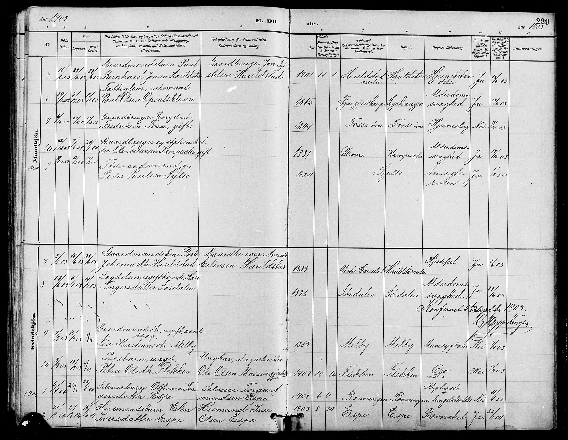 Nord-Fron prestekontor, SAH/PREST-080/H/Ha/Hab/L0005: Parish register (copy) no. 5, 1884-1914, p. 229
