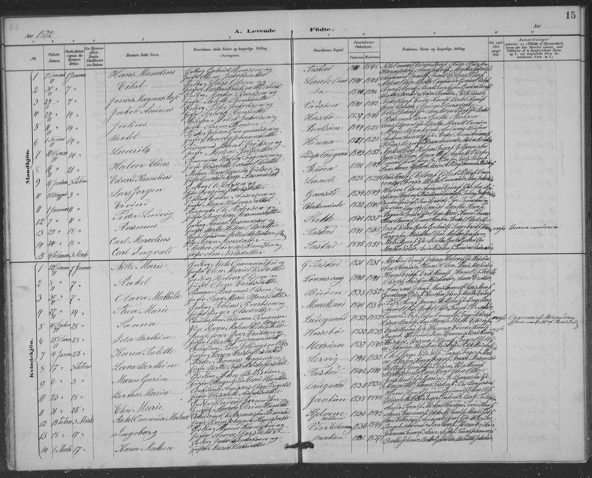 Hetland sokneprestkontor, SAST/A-101826/30/30BB/L0004: Parish register (copy) no. B 4, 1869-1877, p. 15