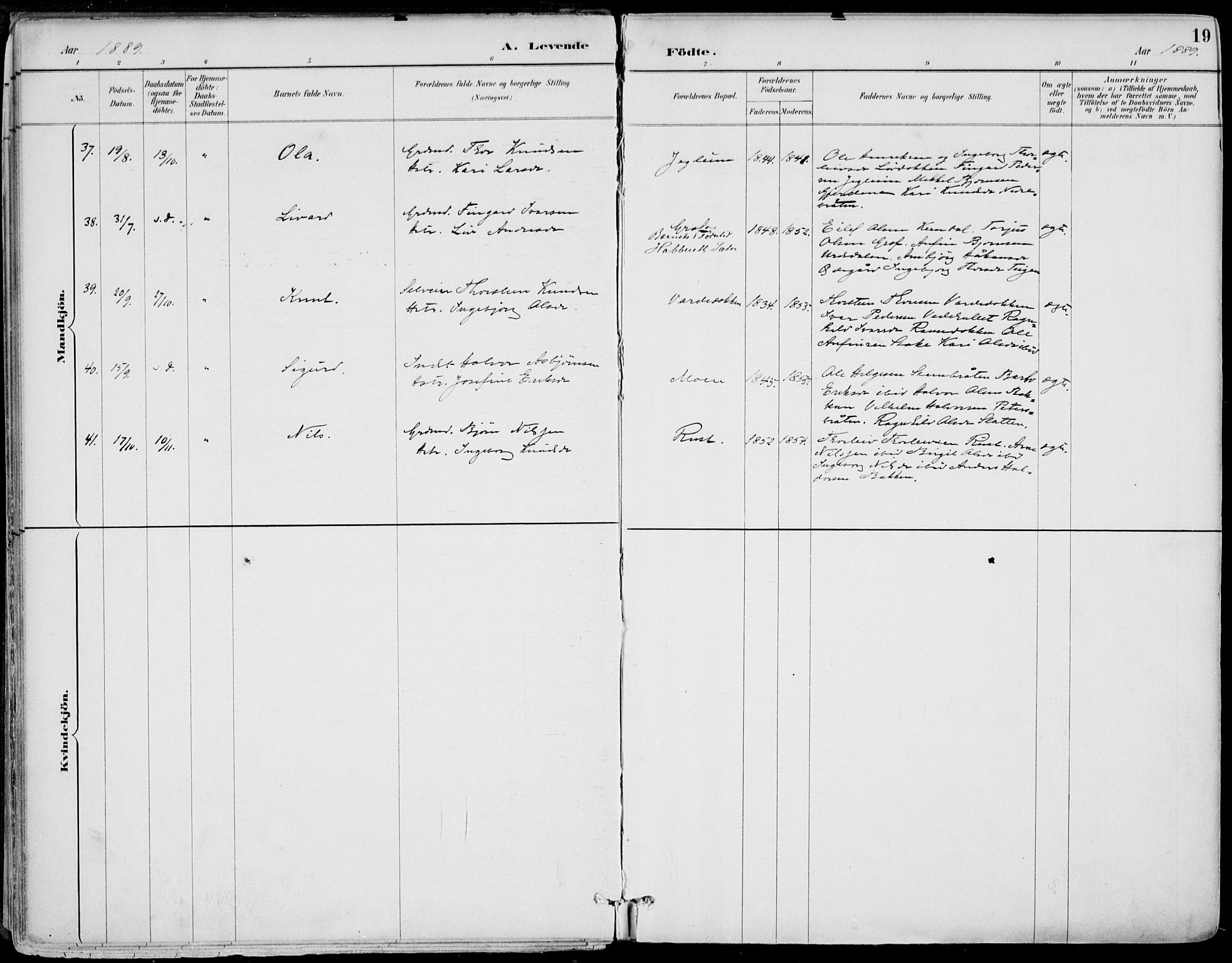 Gol kirkebøker, SAKO/A-226/F/Fa/L0005: Parish register (official) no. I 5, 1887-1900, p. 19