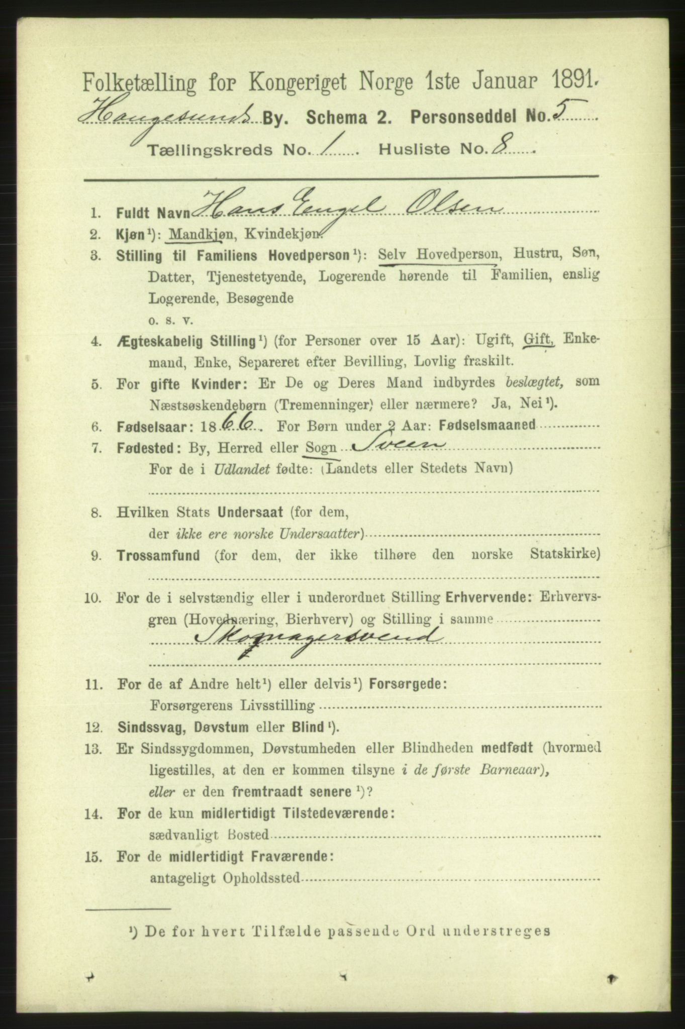 RA, 1891 census for 1106 Haugesund, 1891, p. 1015
