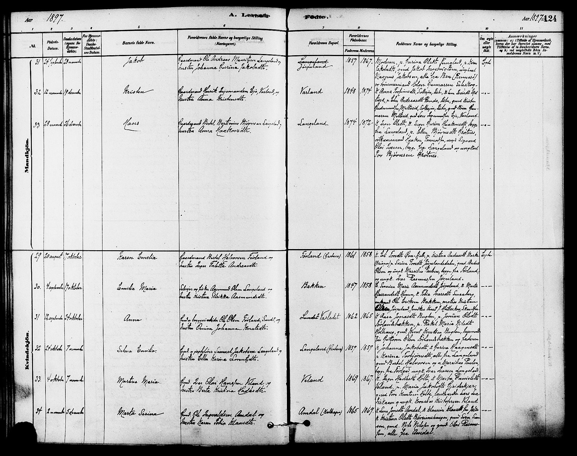 Strand sokneprestkontor, SAST/A-101828/H/Ha/Haa/L0009: Parish register (official) no. A 9, 1877-1908, p. 124