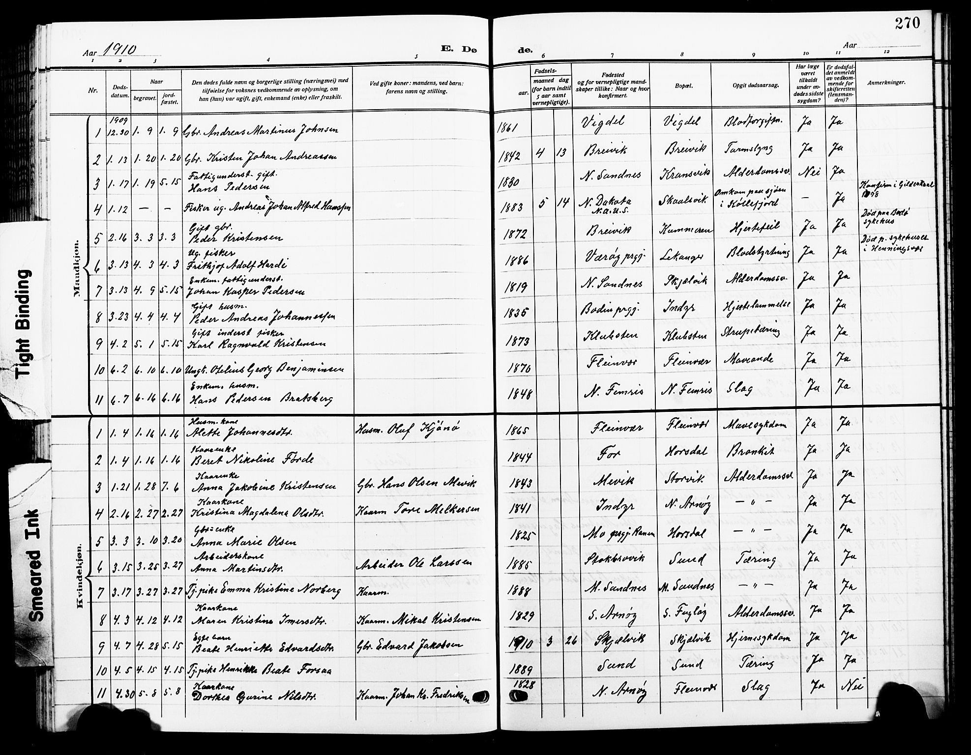 Ministerialprotokoller, klokkerbøker og fødselsregistre - Nordland, AV/SAT-A-1459/805/L0110: Parish register (copy) no. 805C06, 1909-1924, p. 270