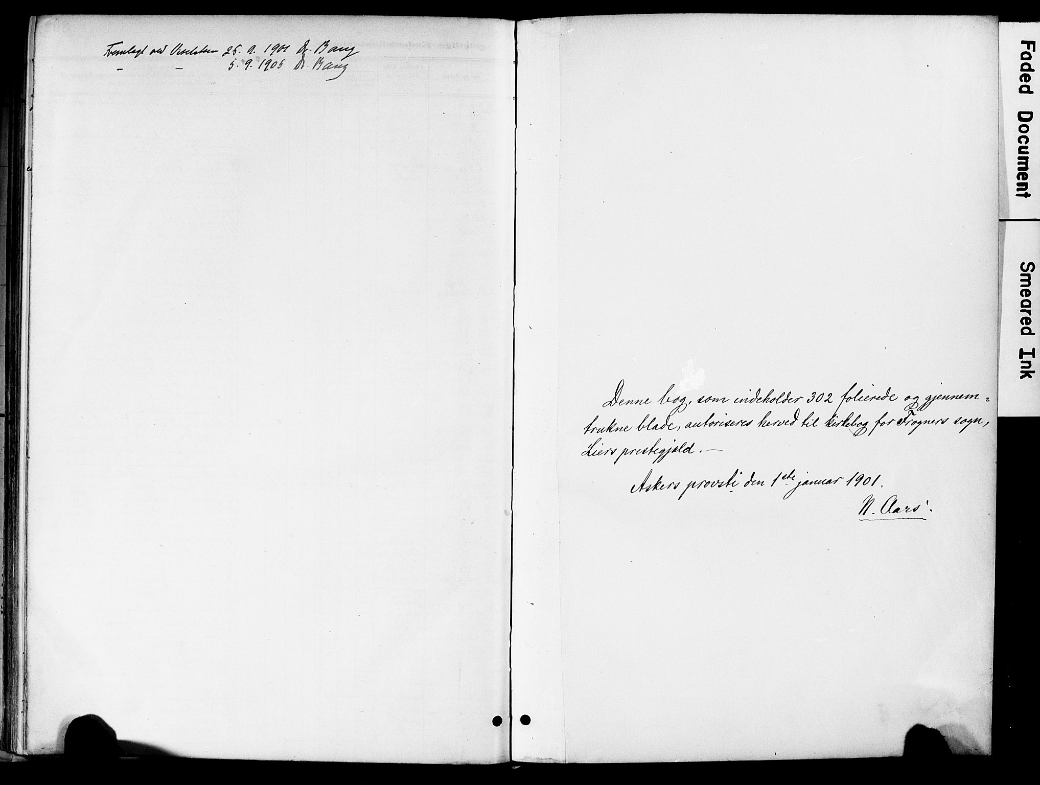 Lier kirkebøker, SAKO/A-230/F/Fa/L0017: Parish register (official) no. I 17, 1901-1908
