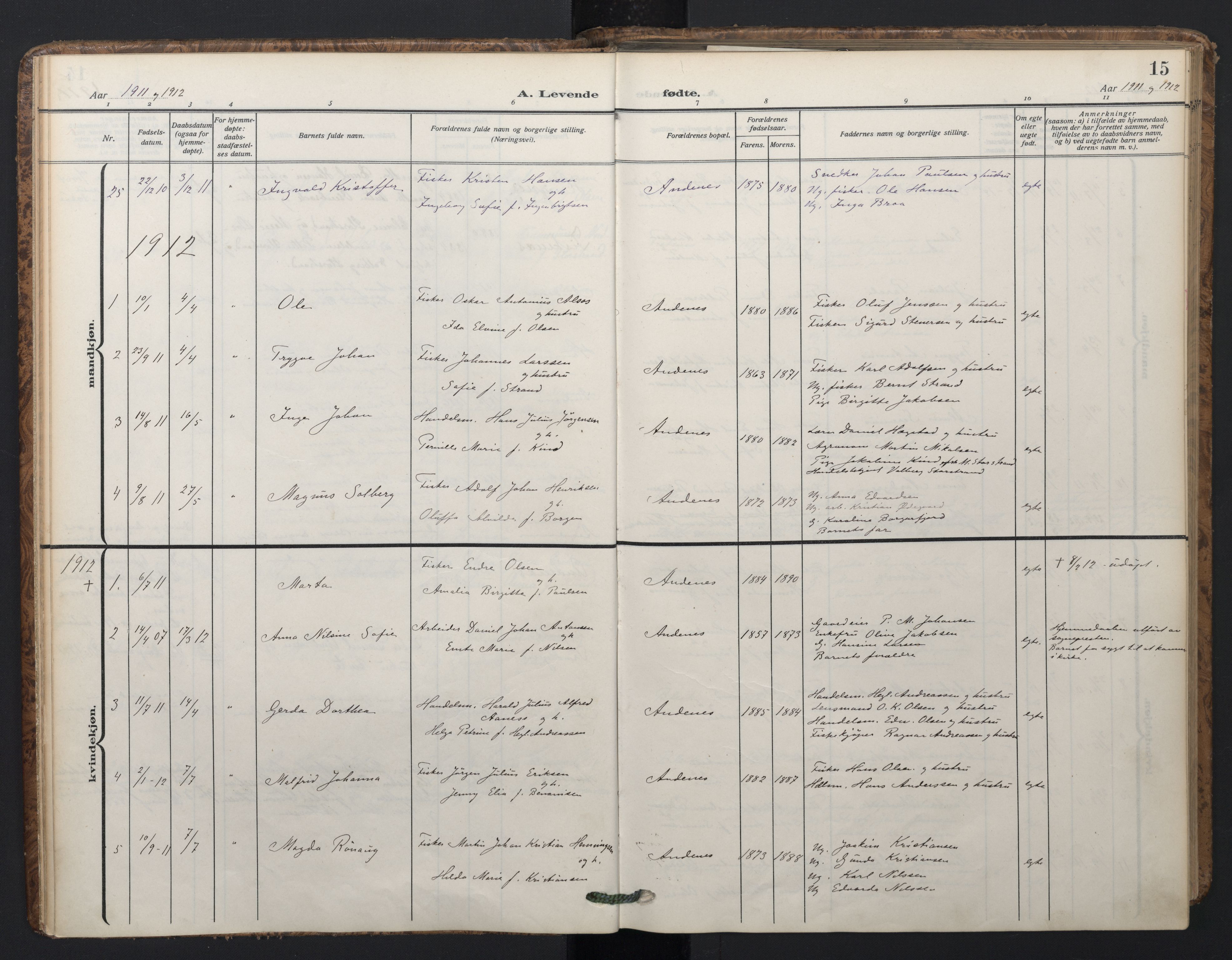 Ministerialprotokoller, klokkerbøker og fødselsregistre - Nordland, SAT/A-1459/899/L1438: Parish register (official) no. 899A06, 1909-1922, p. 15